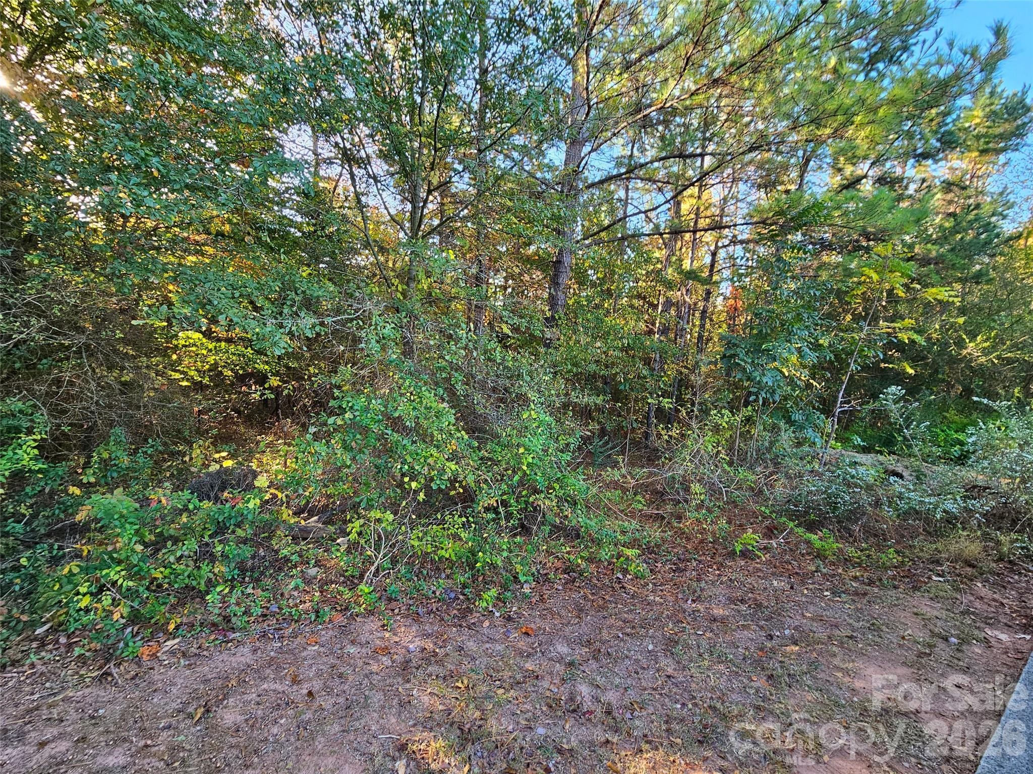 Lot at 0 General Griffith Circle, Rutherfordton, photo 4 of 9