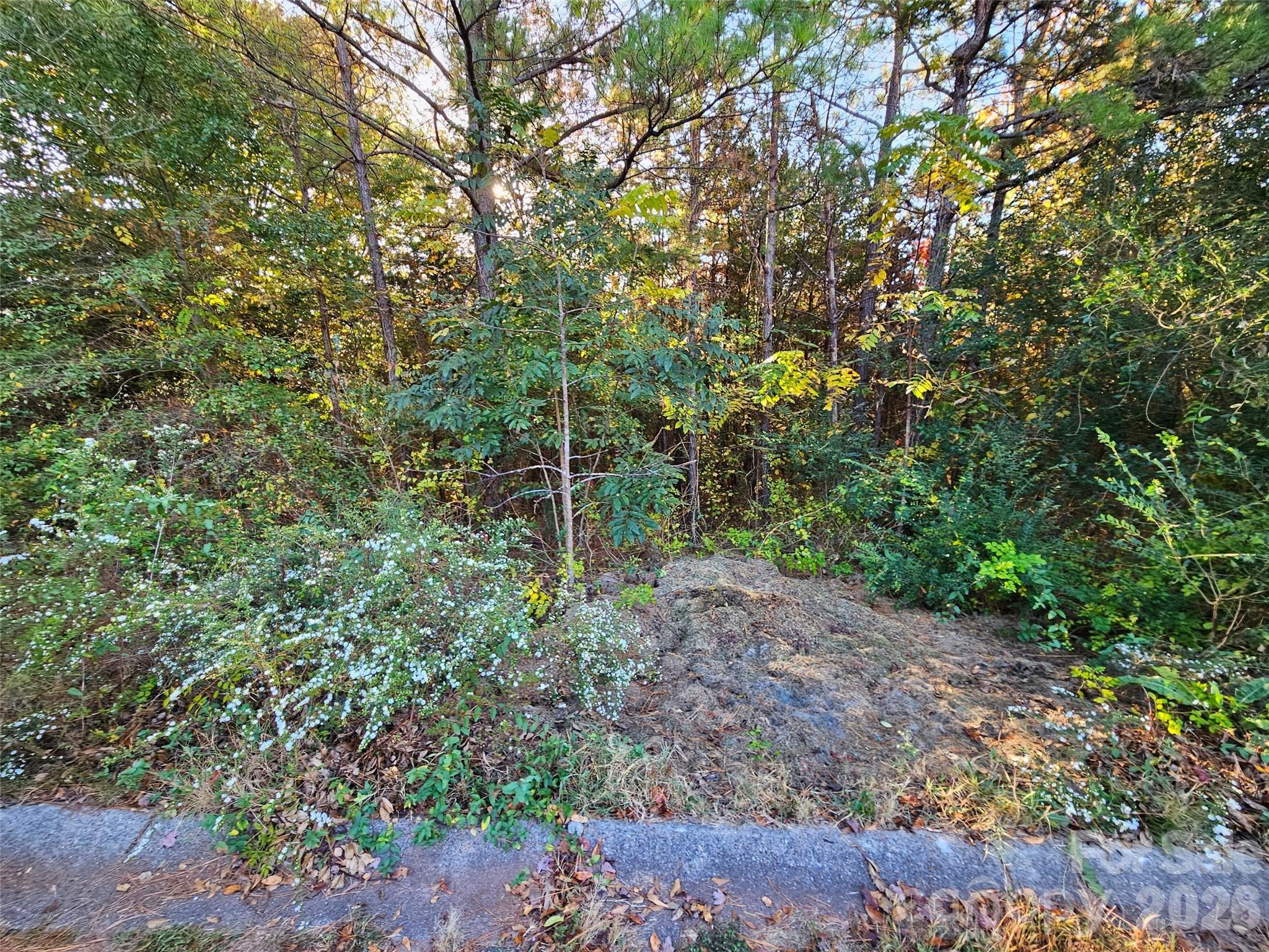 Lot at 0 General Griffith Circle, Rutherfordton, photo 6 of 9