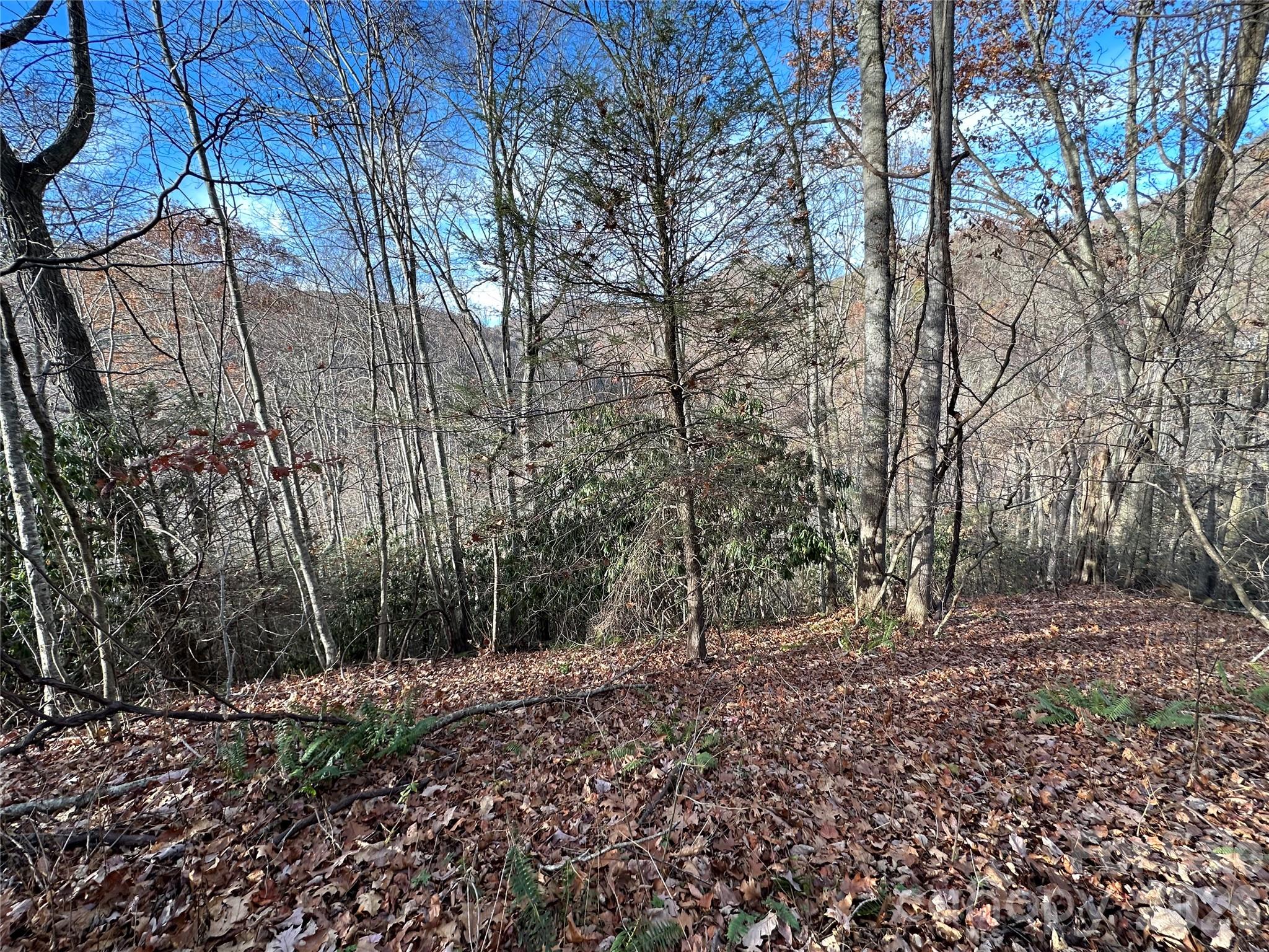 Lot at 00 Rock House Cove Road, Clyde, photo 2 of 9