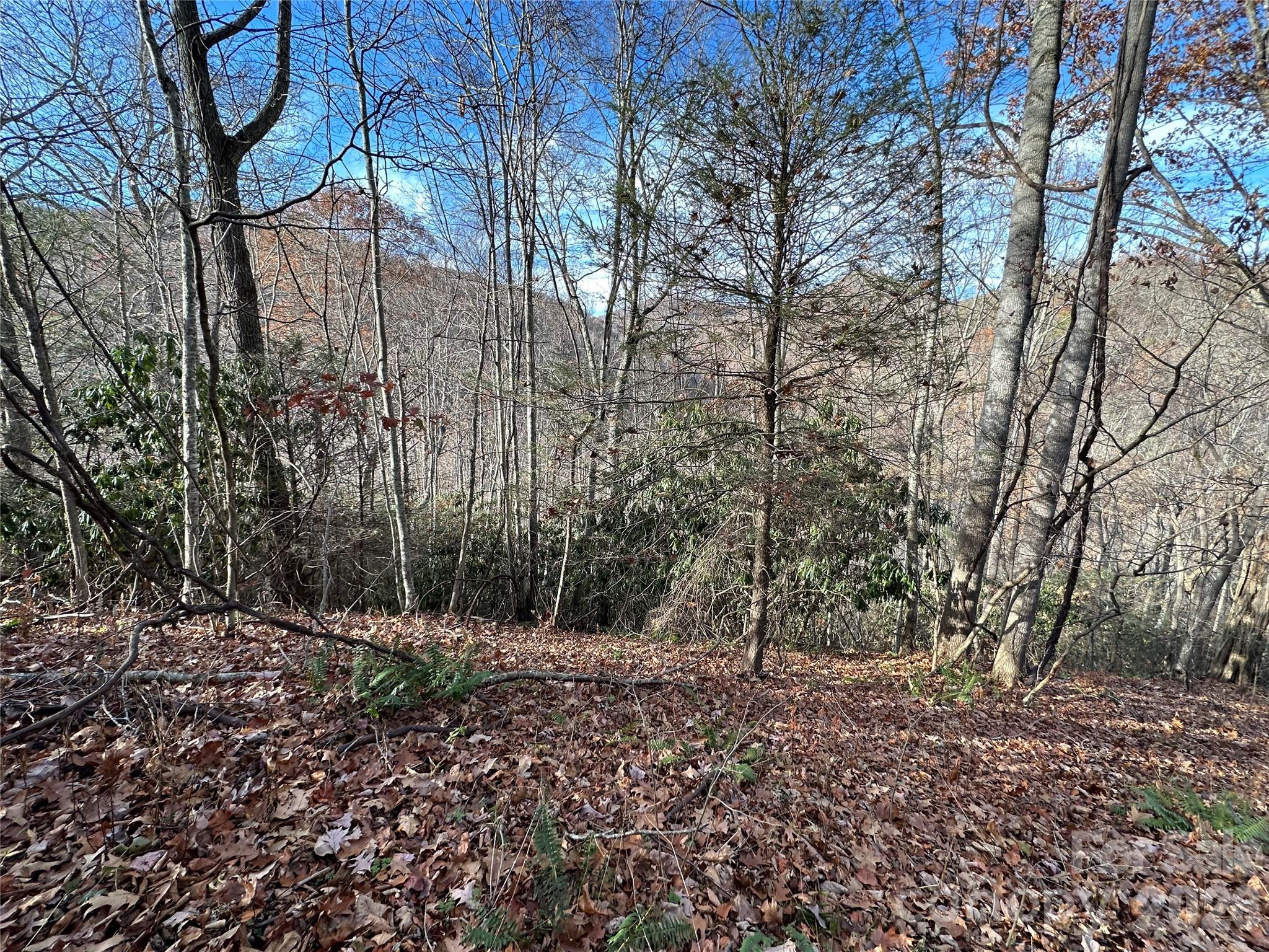 Lot at 00 Rock House Cove Road, Clyde, photo 3 of 9