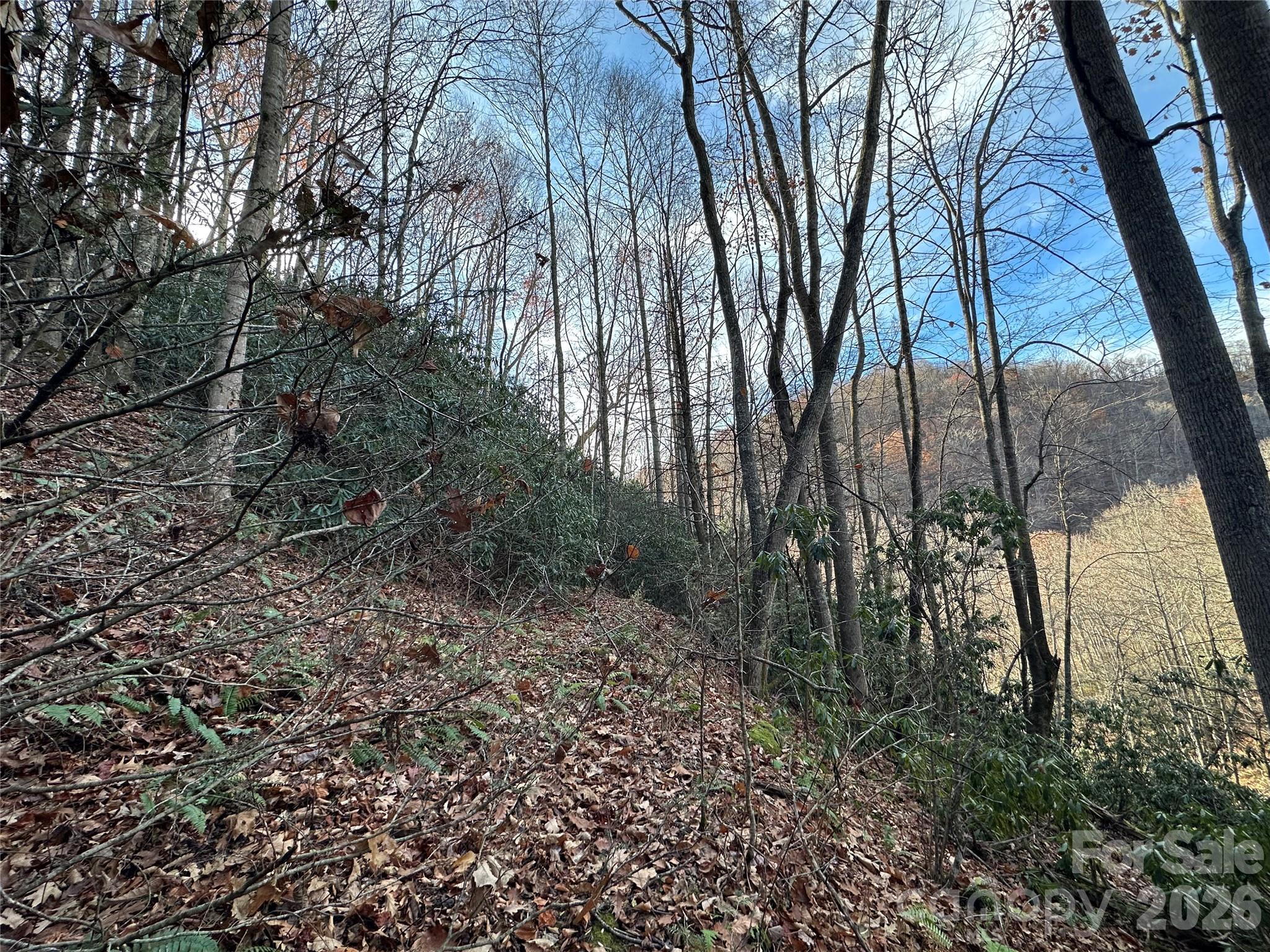 Lot at 00 Rock House Cove Road, Clyde, photo 4 of 9