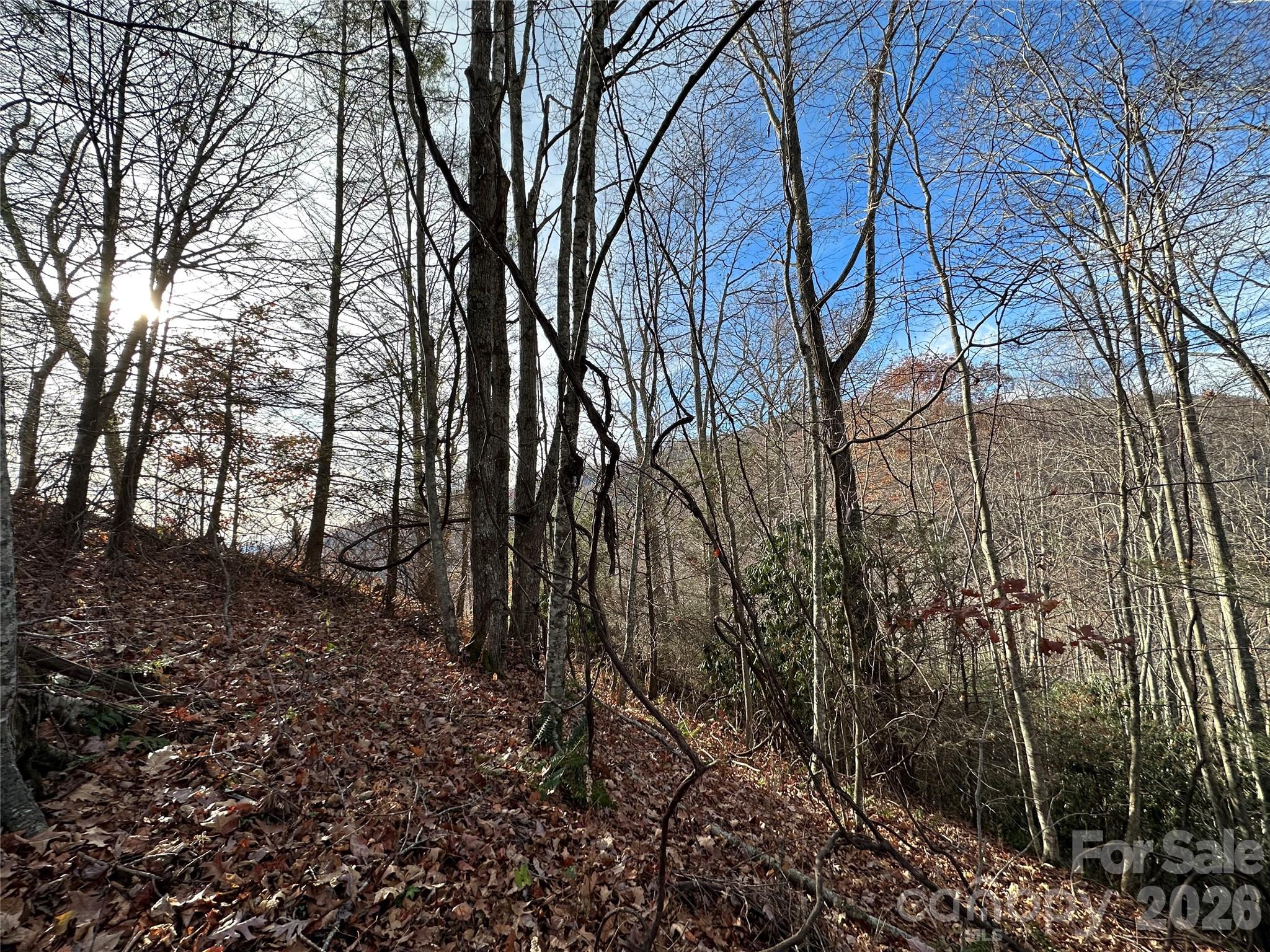 Lot at 00 Rock House Cove Road, Clyde, photo 5 of 9