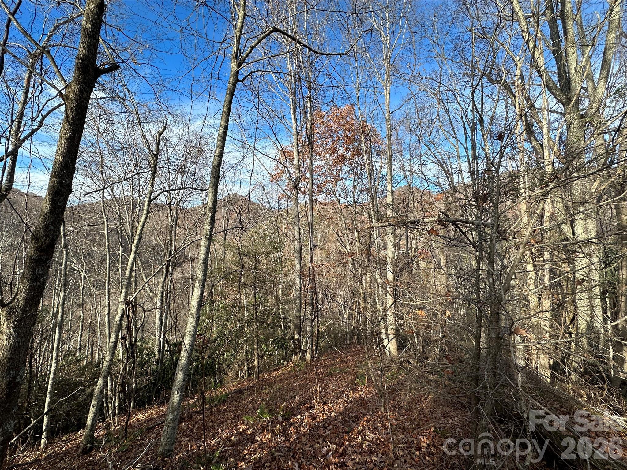 Lot at 00 Rock House Cove Road, Clyde, photo 6 of 9