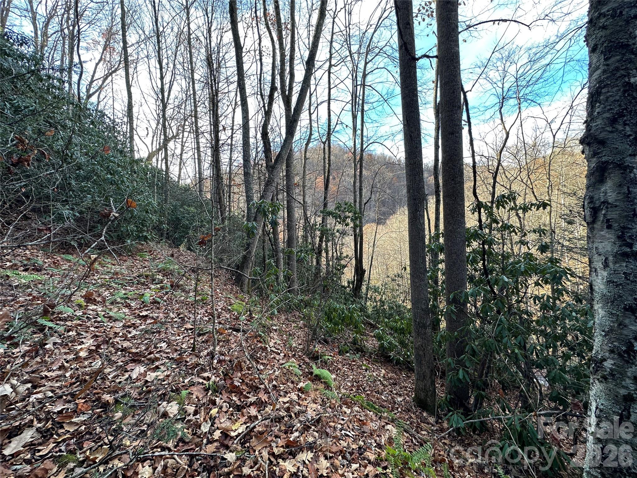 Lot at 00 Rock House Cove Road, Clyde, photo 8 of 9