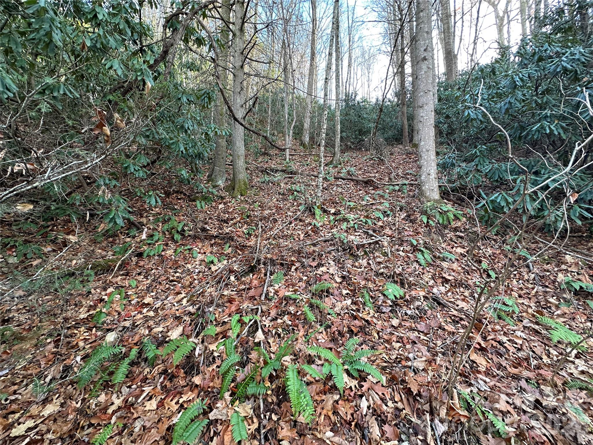 Lot at 00 Rock House Cove Road, Clyde, photo 9 of 9