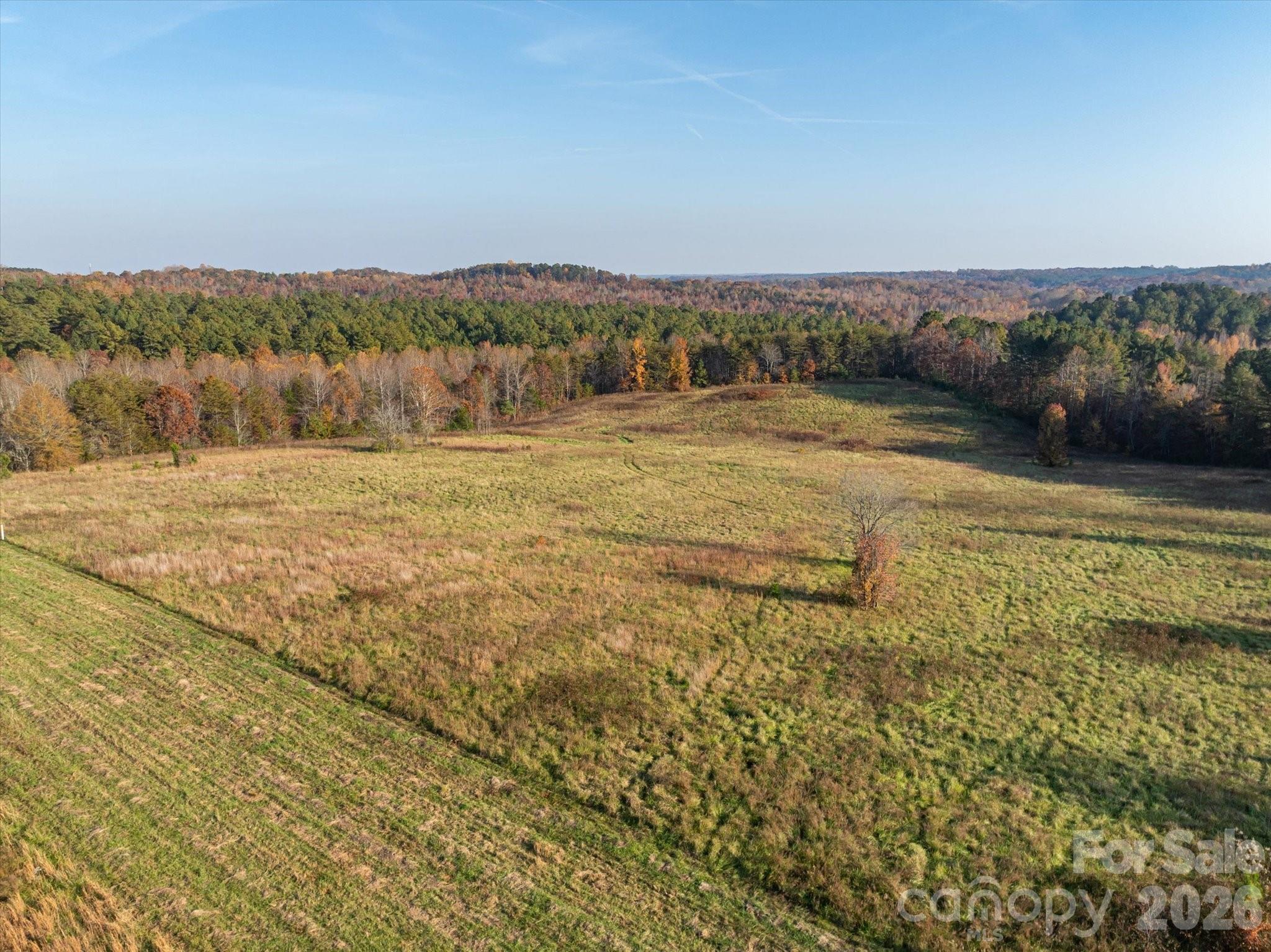 Acreage at 1888 Pea Ridge Road, Mill Spring, photo 2 of 31