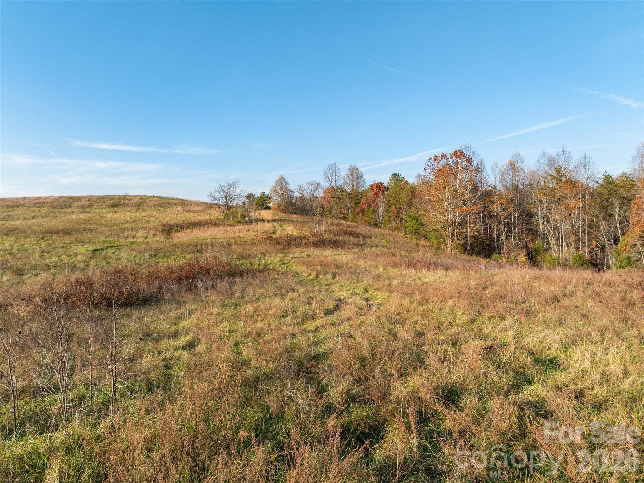 Acreage at 1888 Pea Ridge Road, Mill Spring, photo 5 of 31