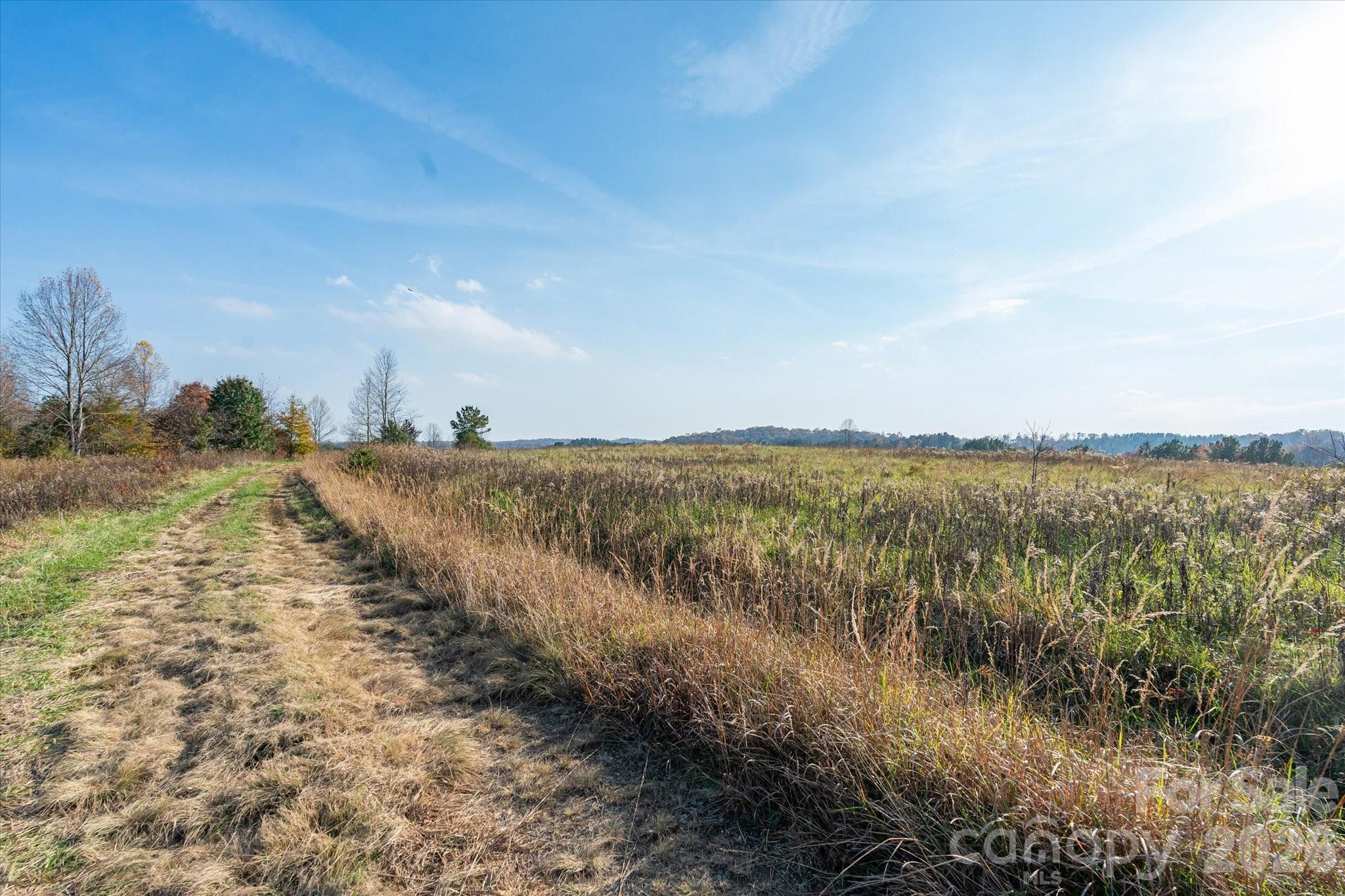 Acreage at 1888 Pea Ridge Road, Mill Spring, photo 6 of 31