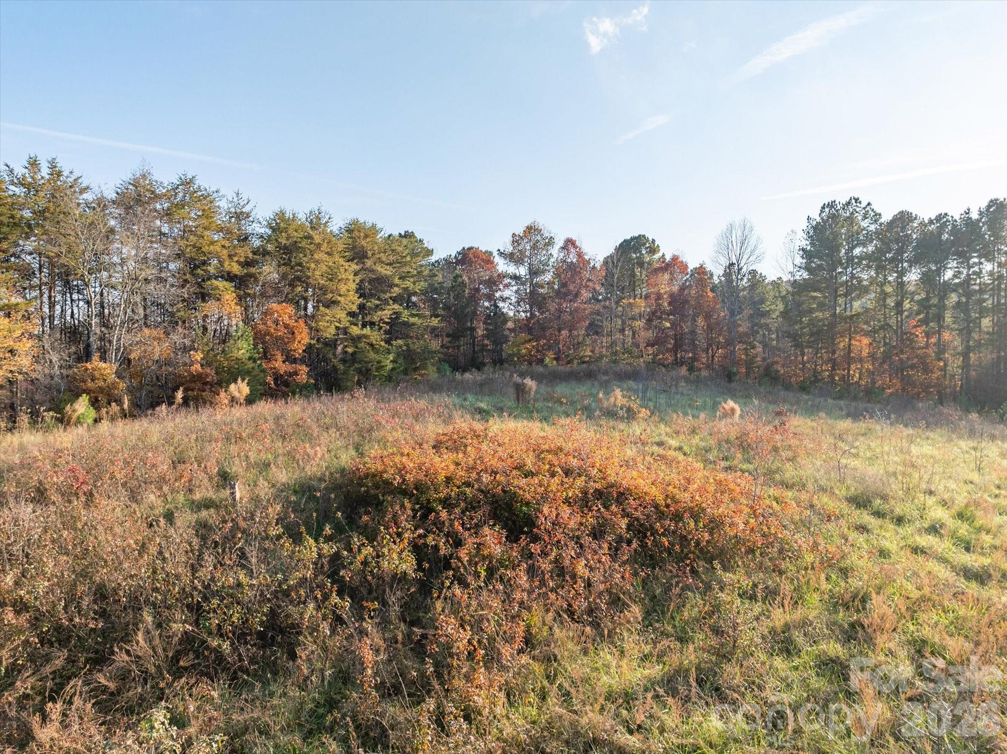 Acreage at 1888 Pea Ridge Road, Mill Spring, photo 8 of 31