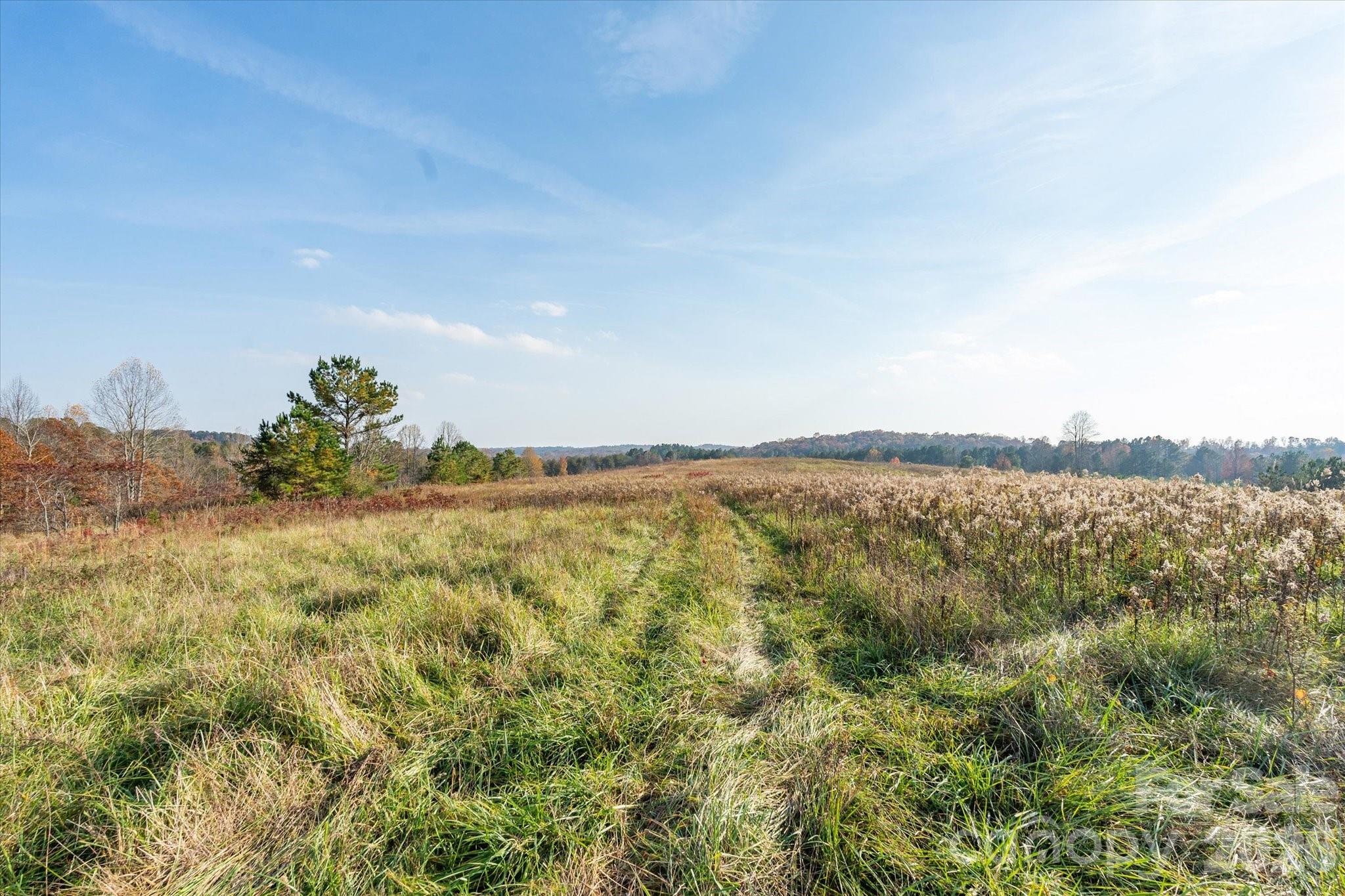 Acreage at 1888 Pea Ridge Road, Mill Spring, photo 10 of 31