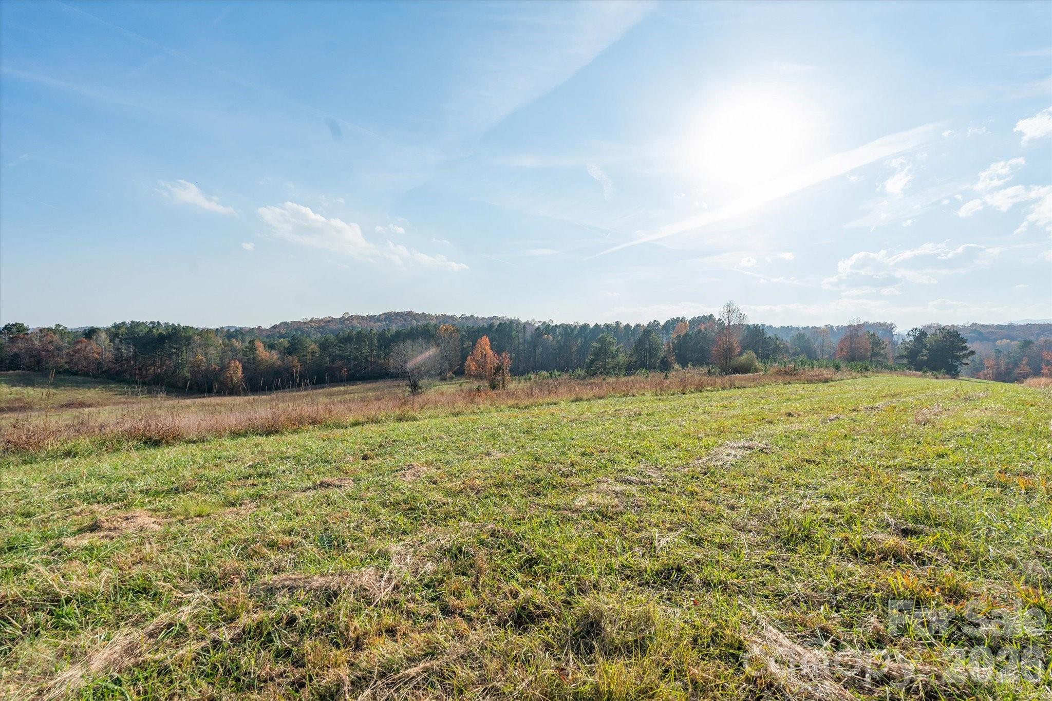 Acreage at 1888 Pea Ridge Road, Mill Spring, photo 11 of 31