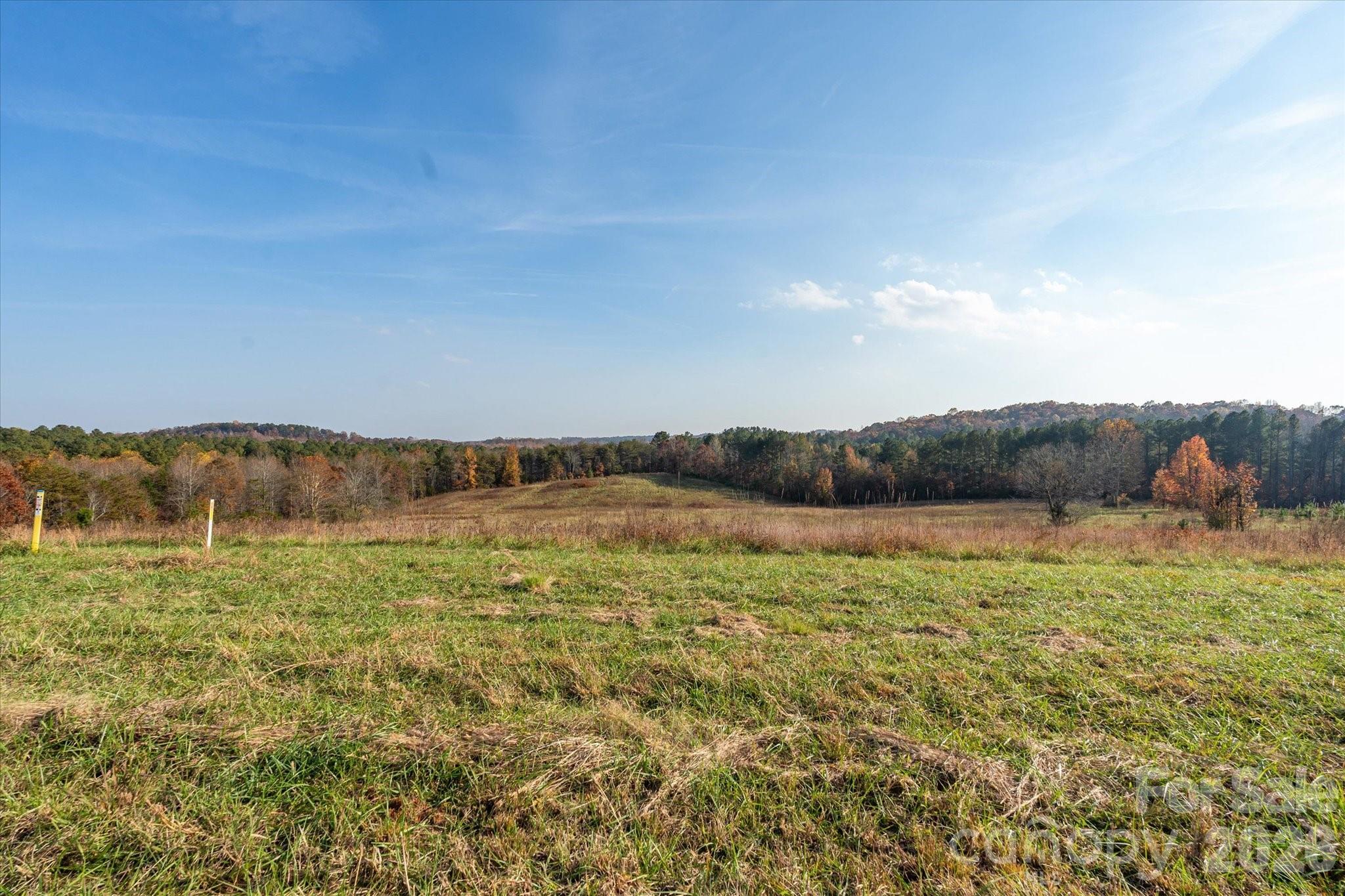 Acreage at 1888 Pea Ridge Road, Mill Spring, photo 12 of 31