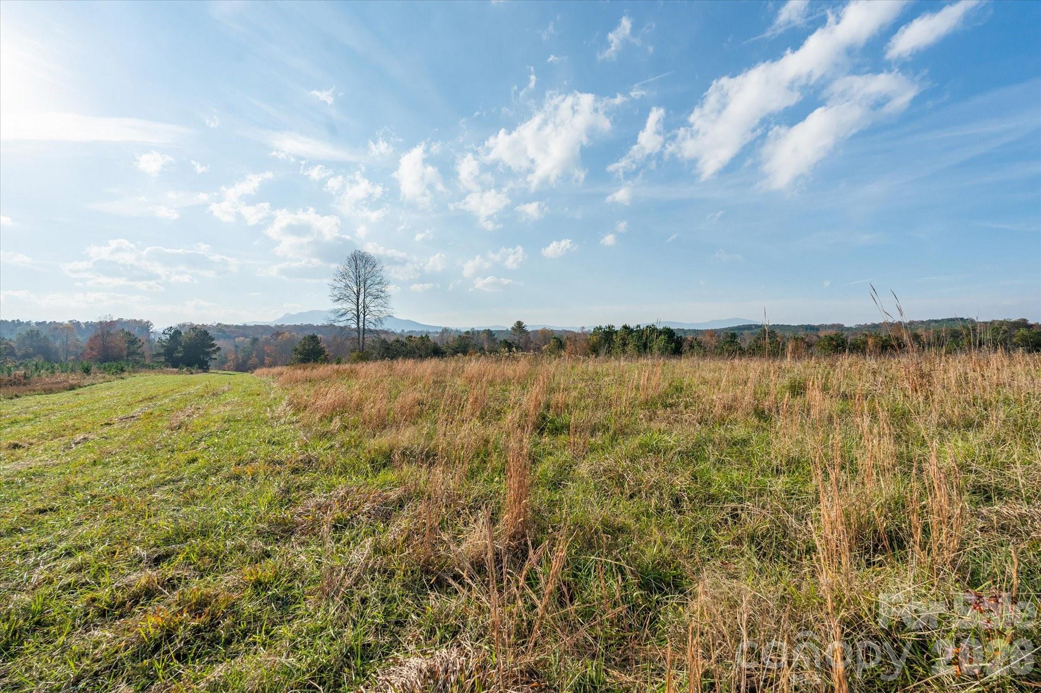 Acreage at 1888 Pea Ridge Road, Mill Spring, photo 13 of 31