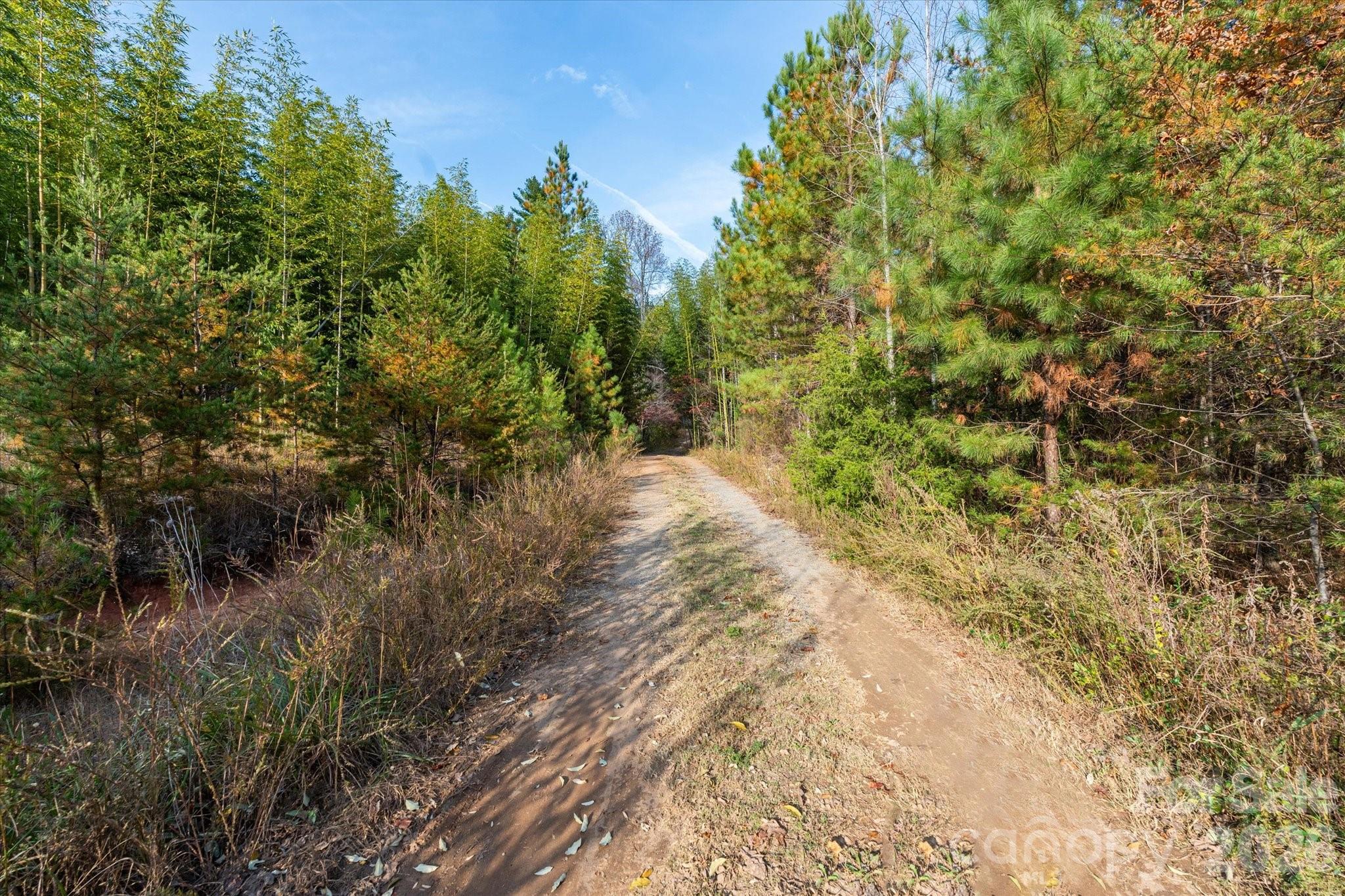 Acreage at 1888 Pea Ridge Road, Mill Spring, photo 17 of 31