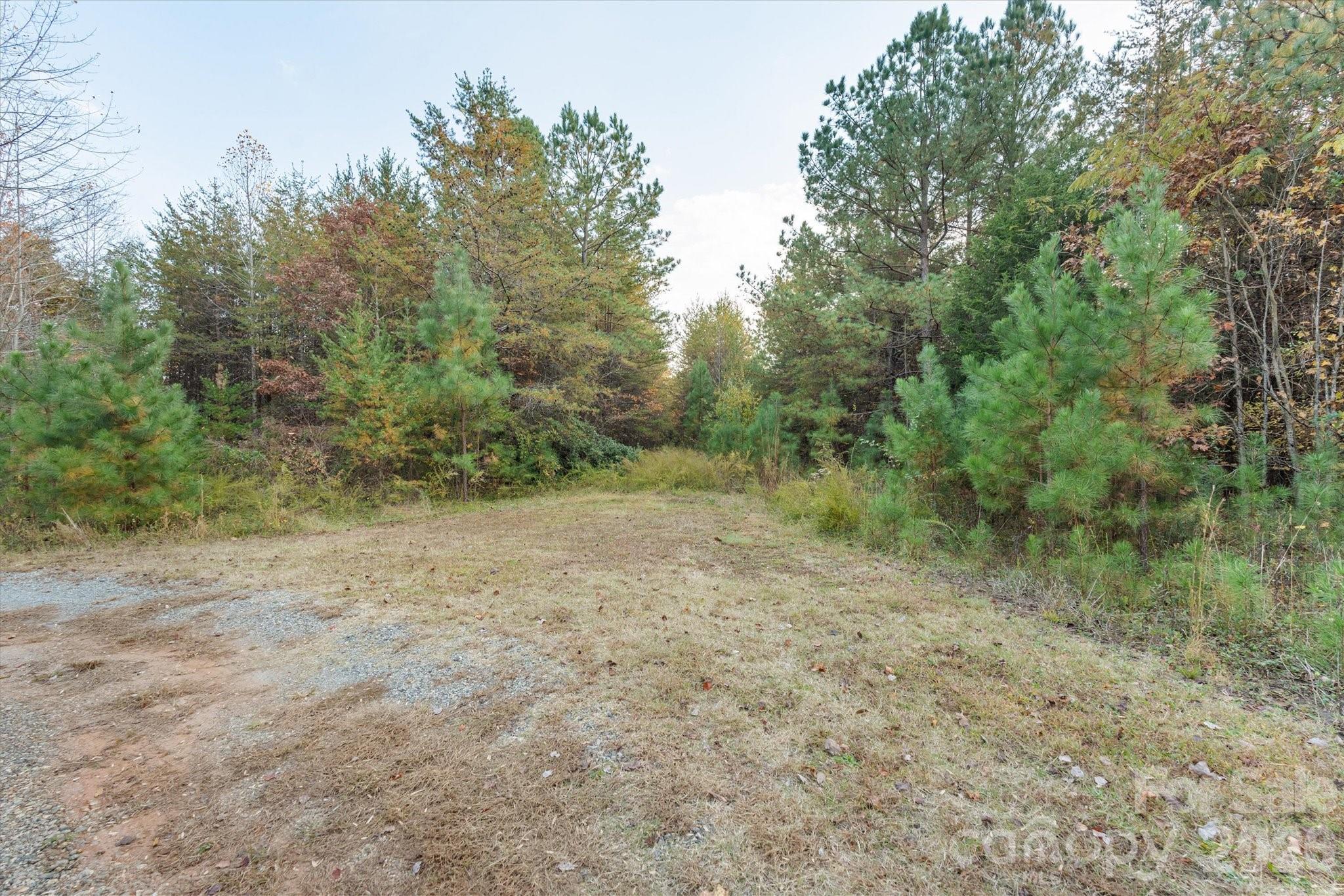Acreage at 1888 Pea Ridge Road, Mill Spring, photo 23 of 31