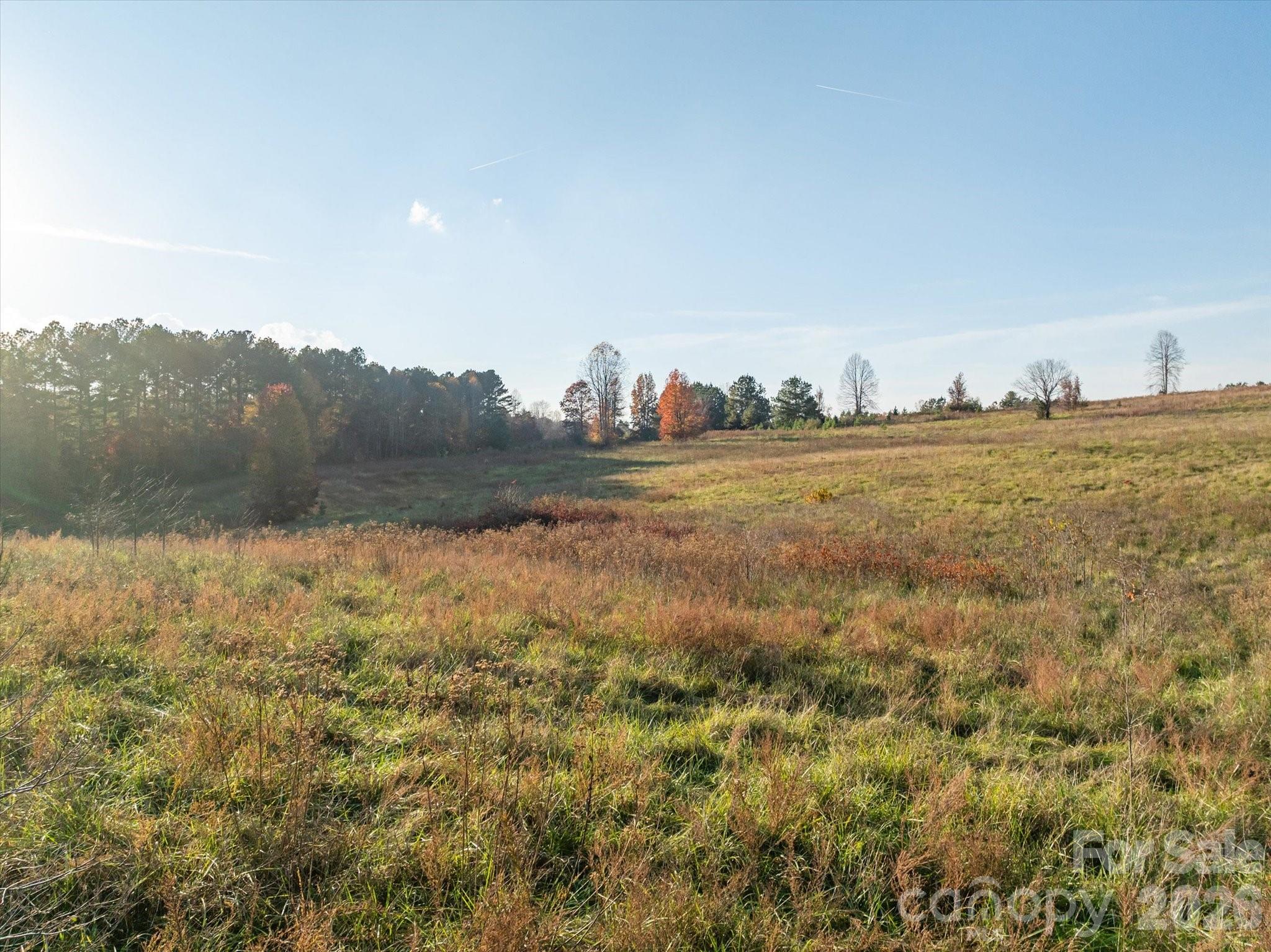 Single Family Residence at 1888 Pea Ridge Road, Mill Spring, photo 7 of 31