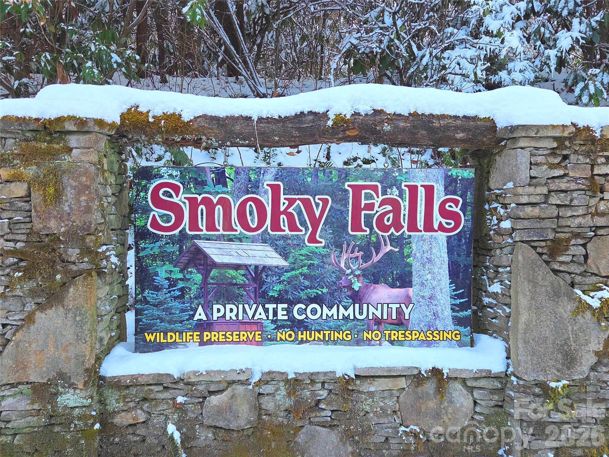 Lot at 220 Sky Drive, Maggie Valley, photo 2 of 19