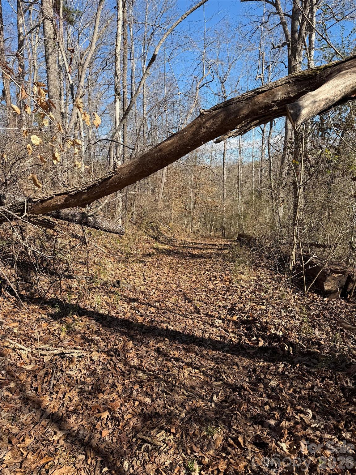 Lot at 000 E Rambling Creek Road, Tryon, photo 2 of 8