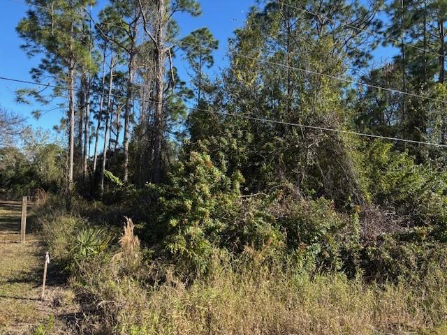 Land at 13636 SULKY DR, PUNTA GORDA, photo 4 of 6