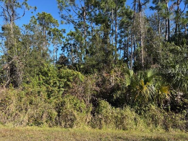 Land at 13636 SULKY DR, PUNTA GORDA, photo 5 of 6