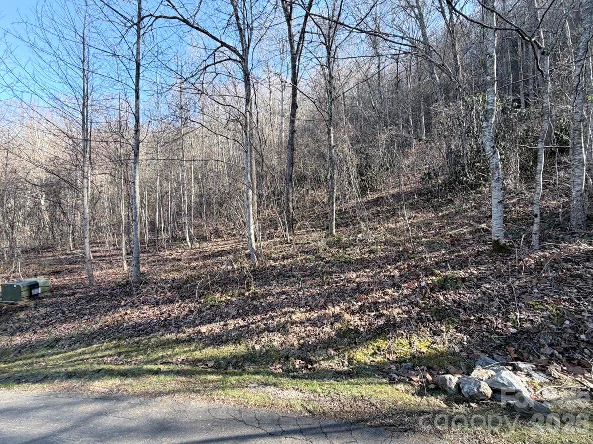 Lot at 76 View Ridge Parkway, Leicester, photo 2 of 10