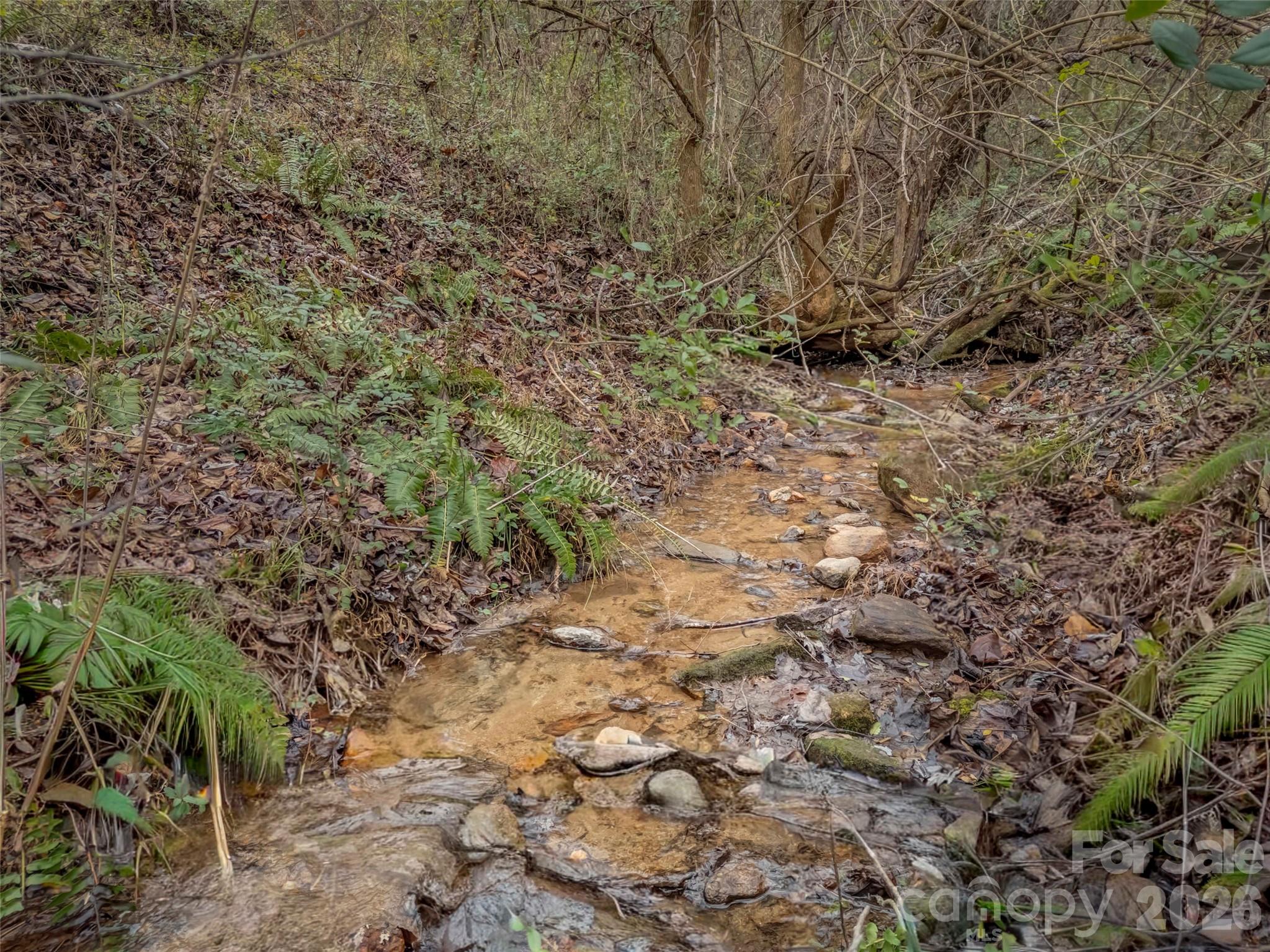 Farm at 896 Newfound Road, Leicester, photo 20 of 27