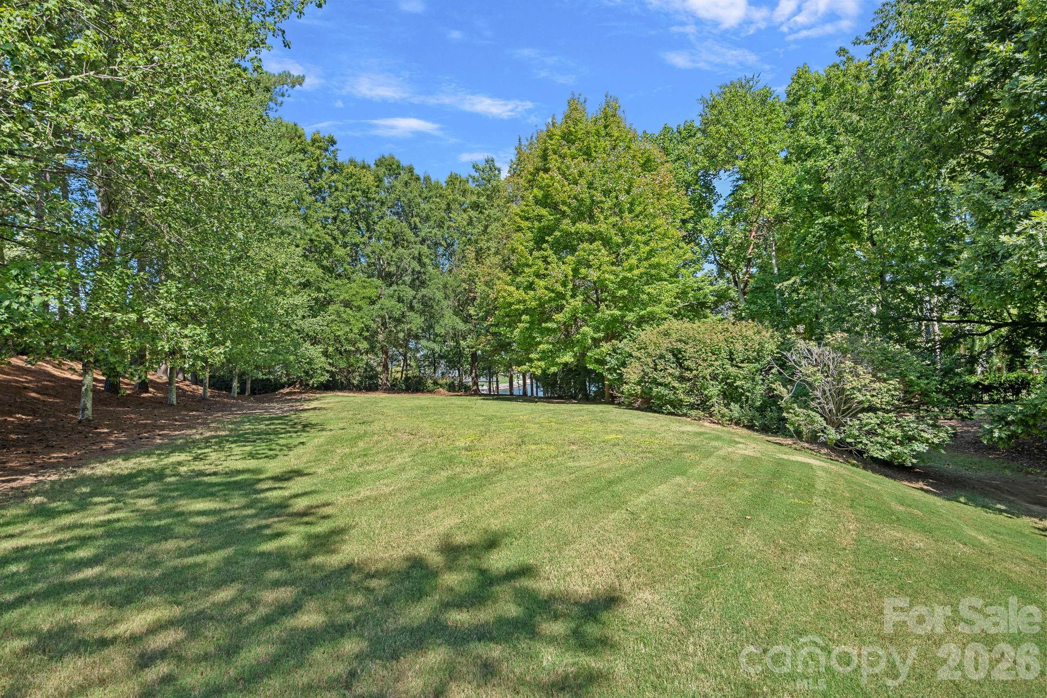 Lot at 19002 Lakehouse Pointe Drive, Cornelius, photo 7 of 14