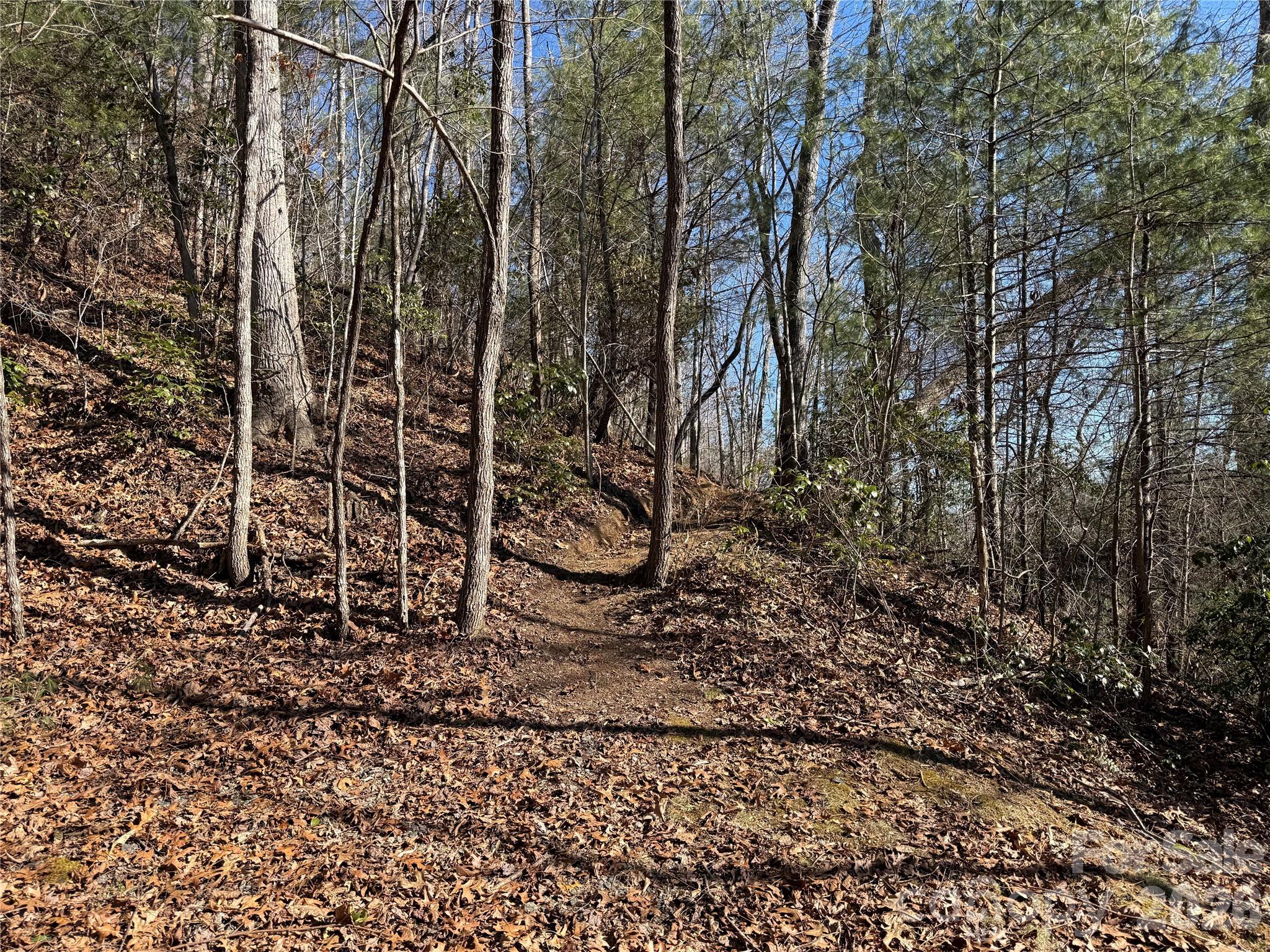Lot at 33 High Point Trail, Brevard, photo 3 of 26