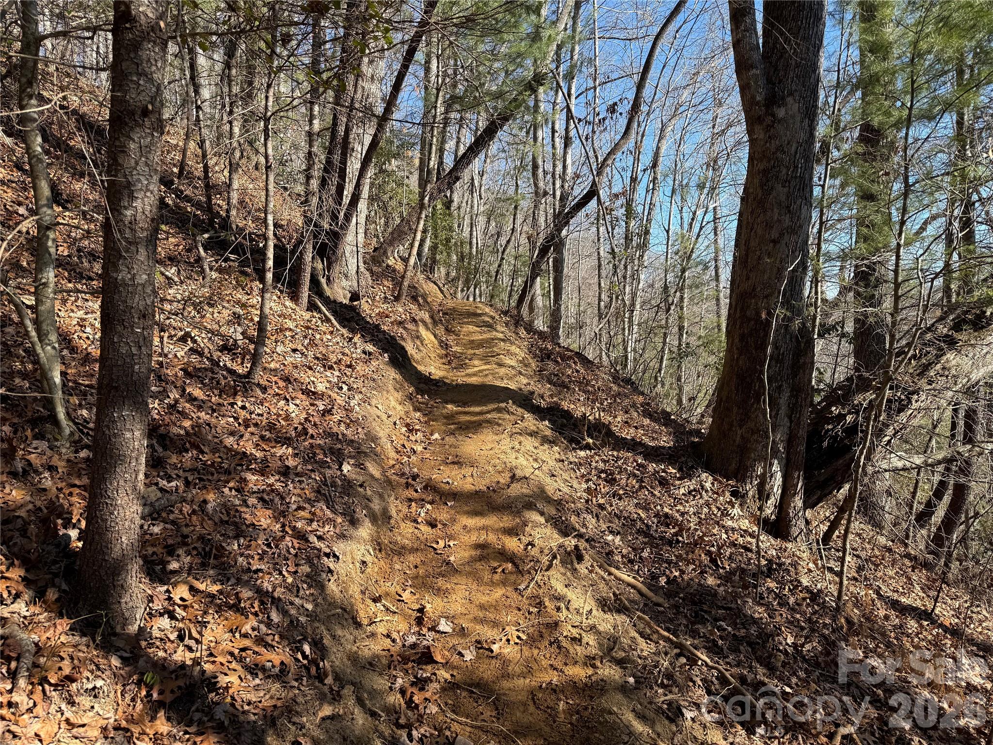Lot at 33 High Point Trail, Brevard, photo 4 of 26