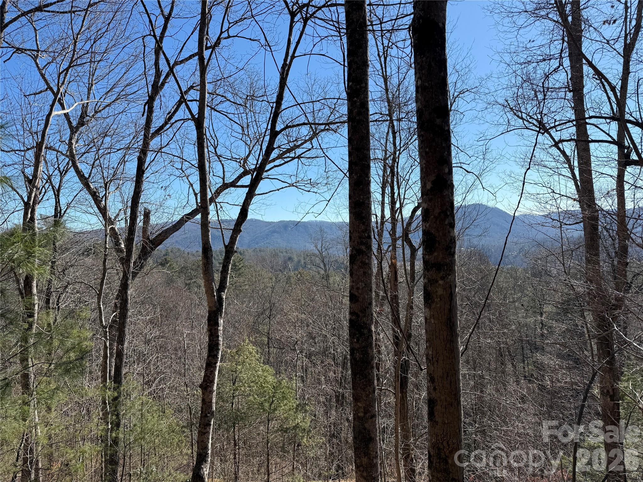 Lot at 33 High Point Trail, Brevard, photo 2 of 26