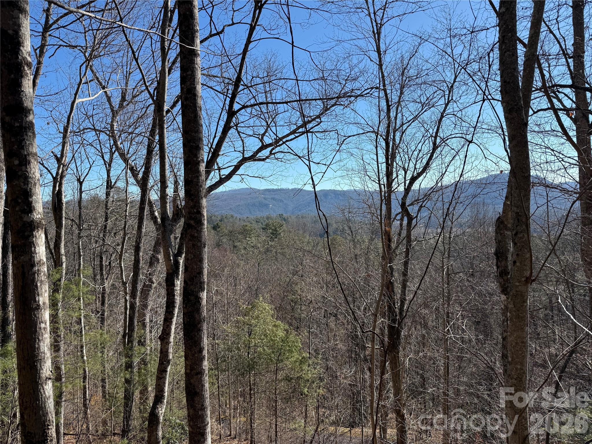 Lot at 33 High Point Trail, Brevard, photo 5 of 26