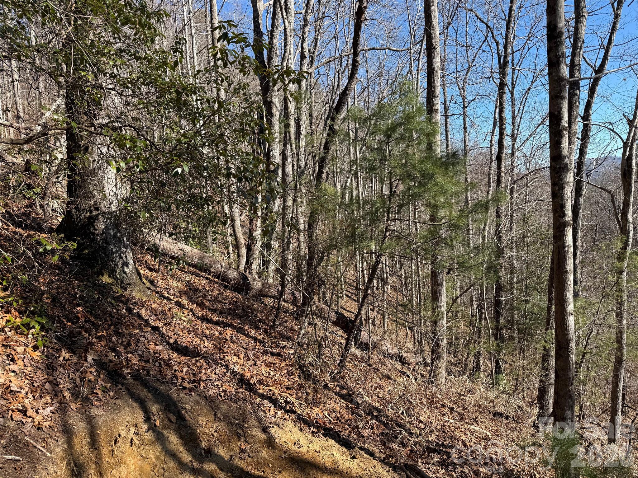 Lot at 33 High Point Trail, Brevard, photo 6 of 26