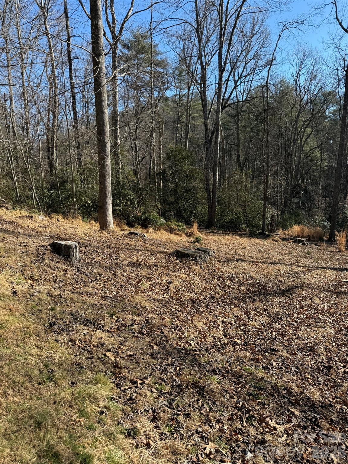 9999 Rockbrook Overlook