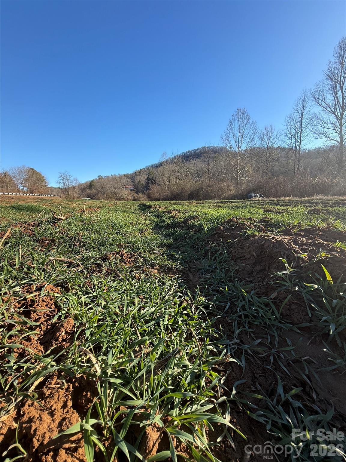 Acreage at 000 Old Fort Sugar Hill Road, Marion, photo 12 of 35