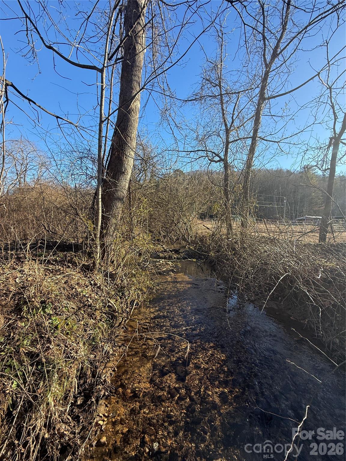 Acreage at 000 Old Fort Sugar Hill Road, Marion, photo 19 of 35