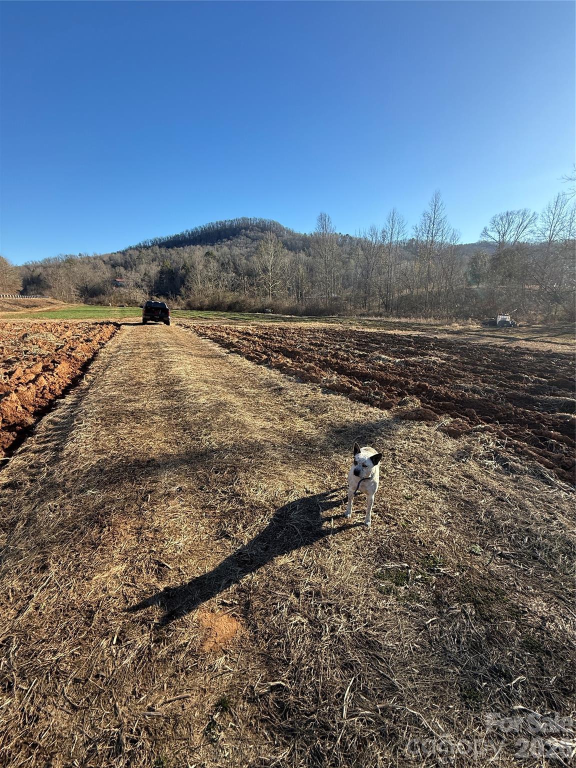 Acreage at 000 Old Fort Sugar Hill Road, Marion, photo 34 of 35