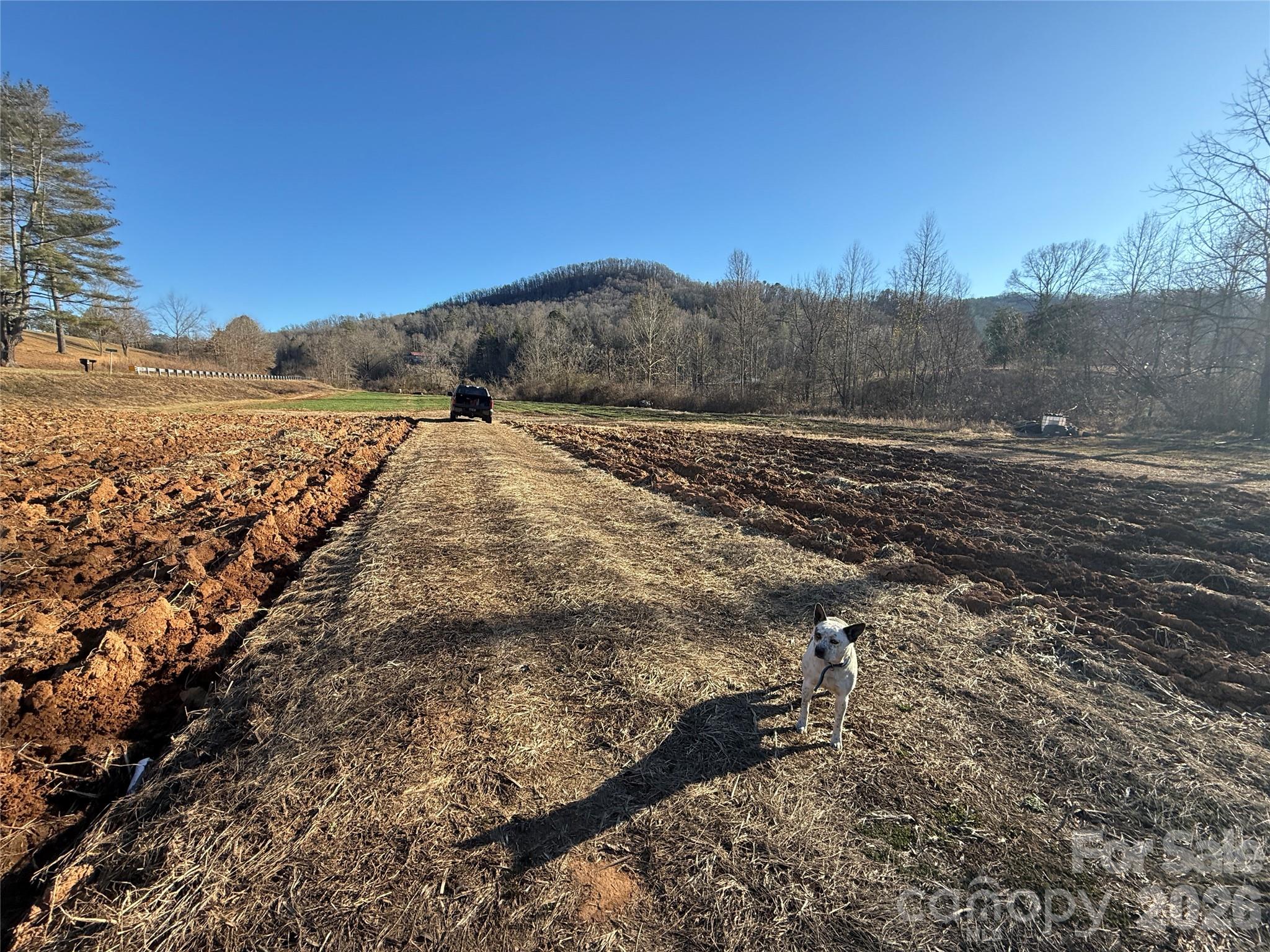 Acreage at 000 Old Fort Sugar Hill Road, Marion, photo 35 of 35