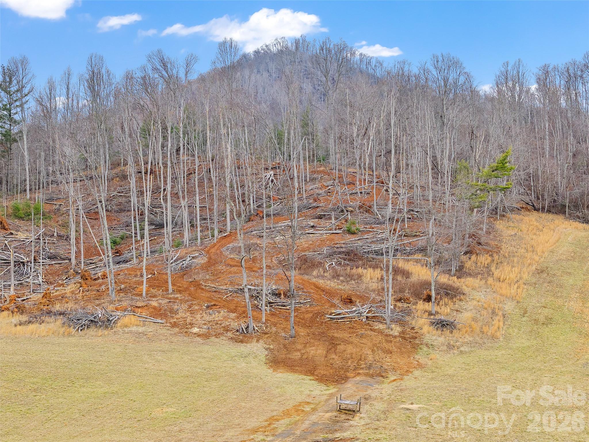 Acreage at 784 Green Young Cemetery Road, Bakersville, photo 5 of 46