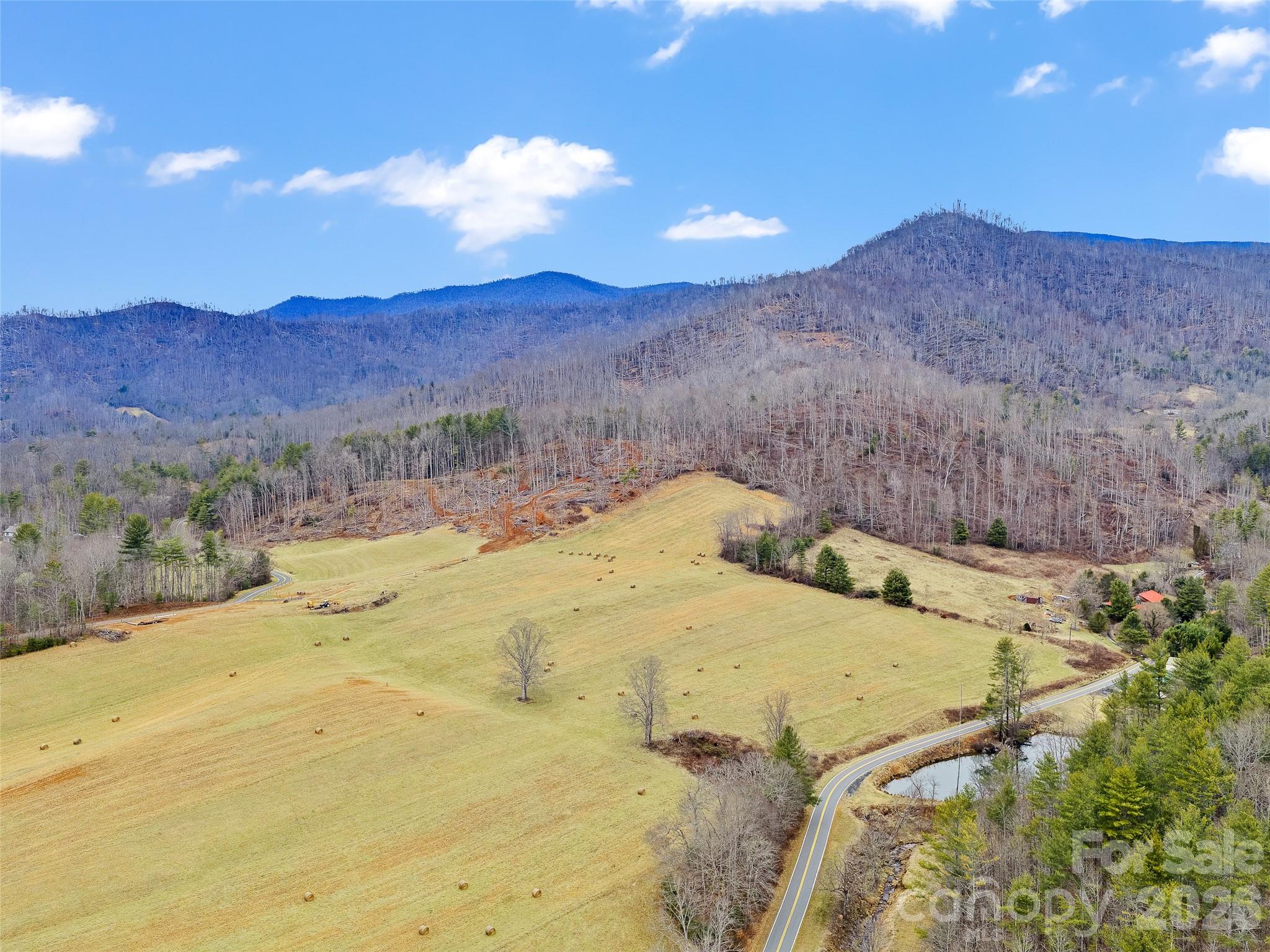 Acreage at 784 Green Young Cemetery Road, Bakersville, photo 12 of 46