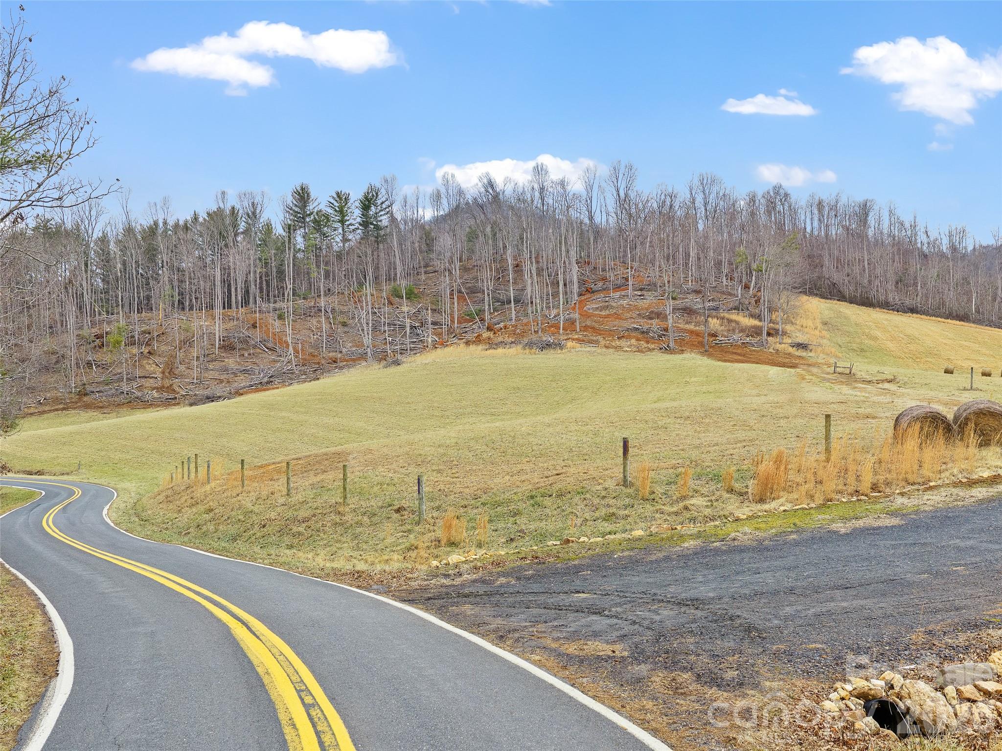Acreage at 784 Green Young Cemetery Road, Bakersville, photo 16 of 46
