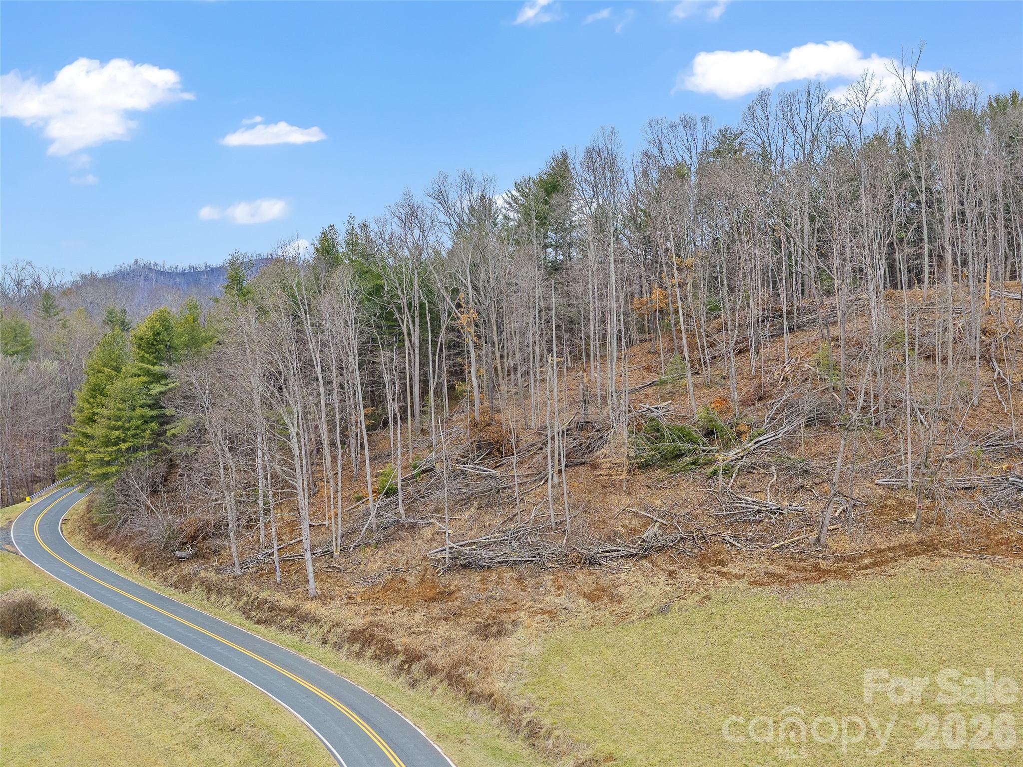 Acreage at 784 Green Young Cemetery Road, Bakersville, photo 19 of 46