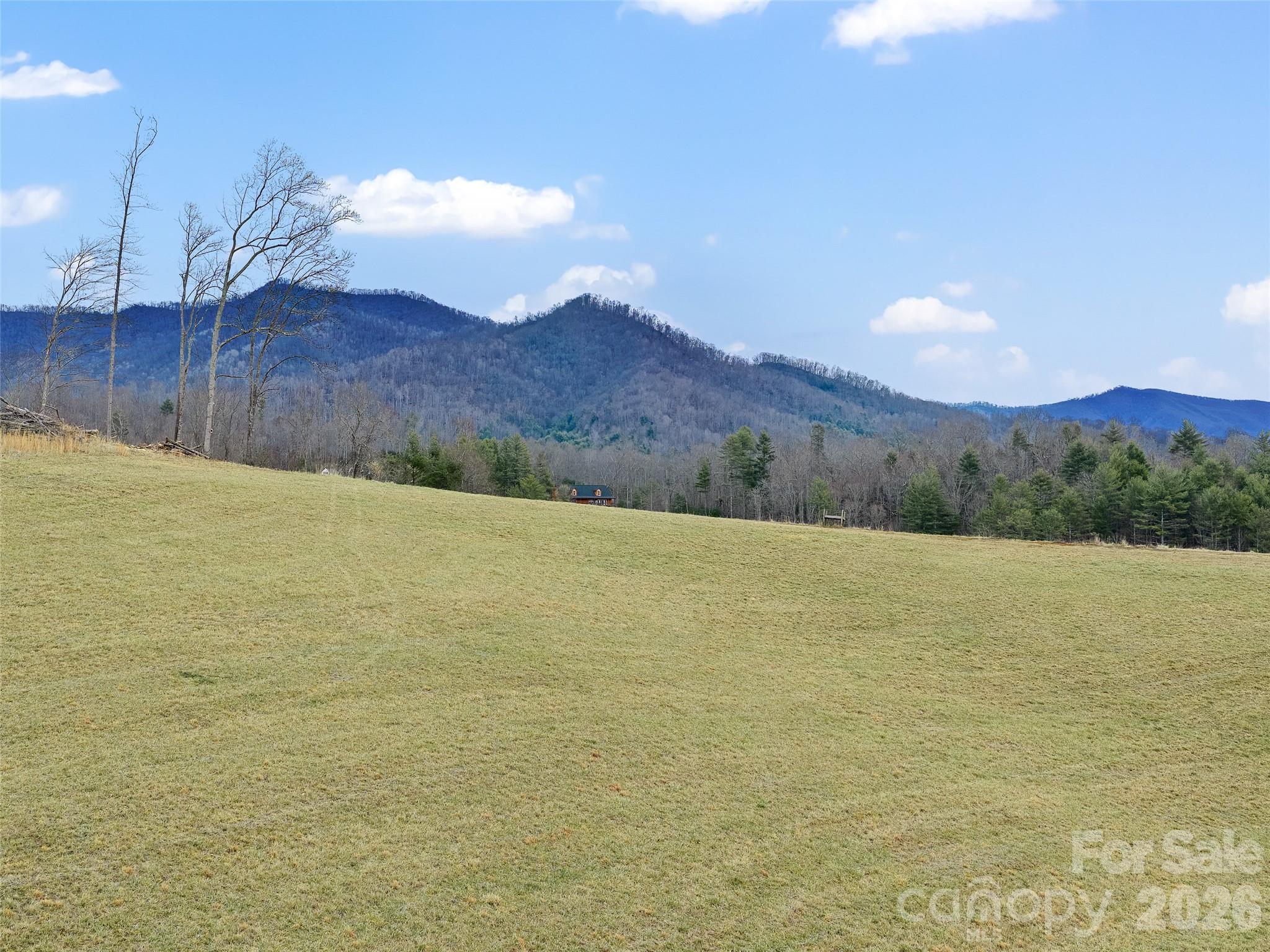 Acreage at 784 Green Young Cemetery Road, Bakersville, photo 26 of 46