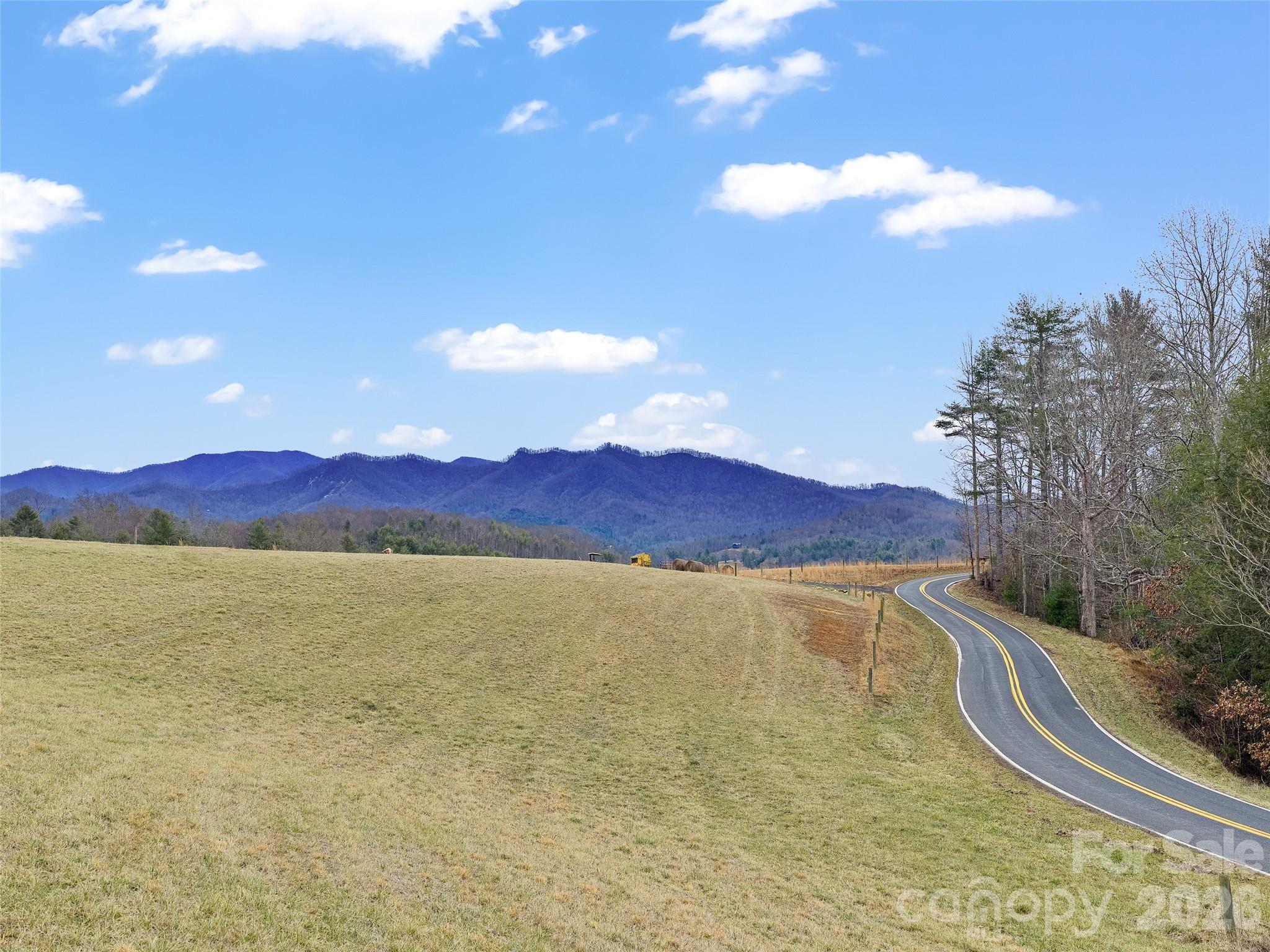 Acreage at 784 Green Young Cemetery Road, Bakersville, photo 27 of 46