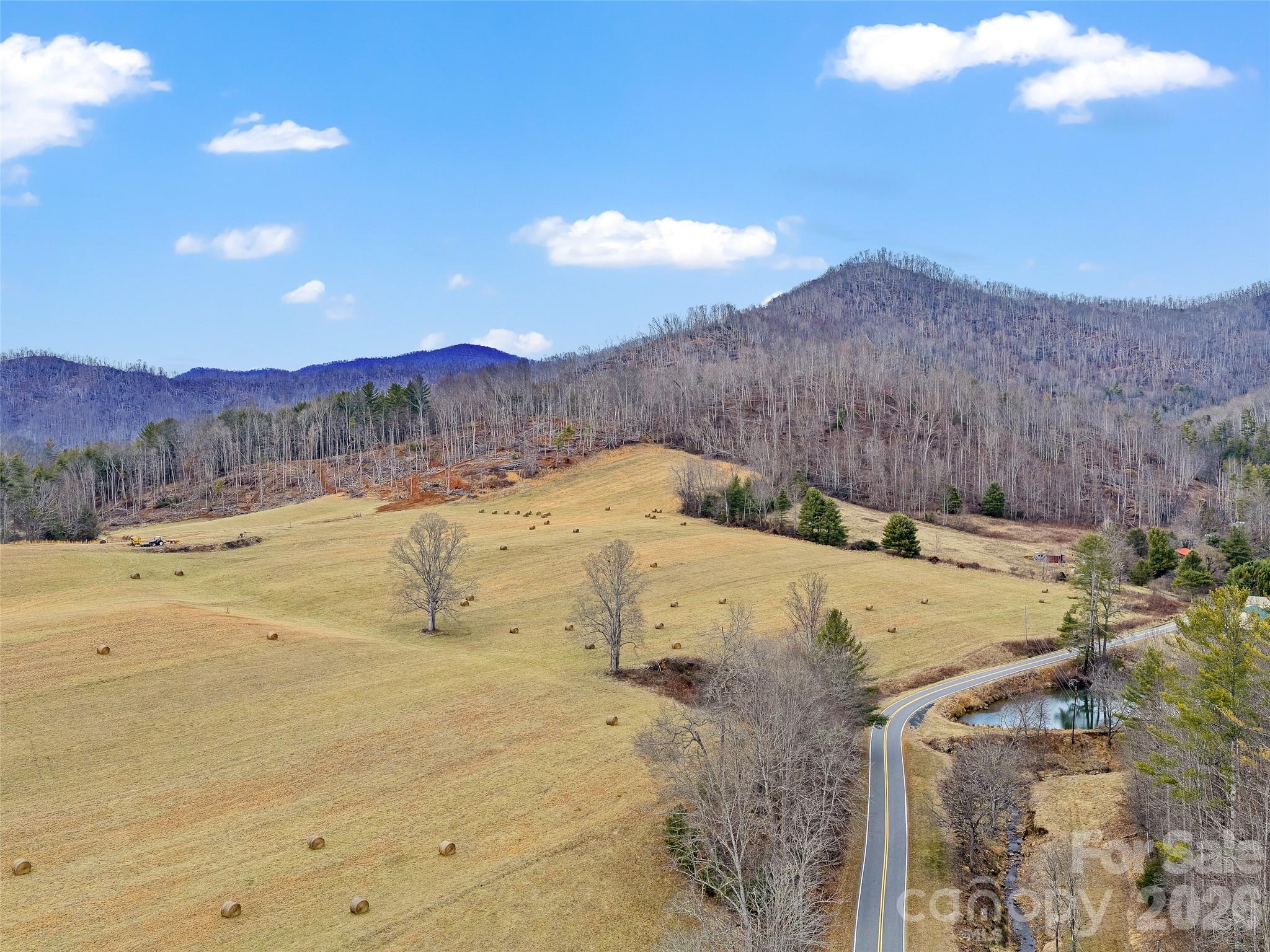 Acreage at 784 Green Young Cemetery Road, Bakersville, photo 29 of 46