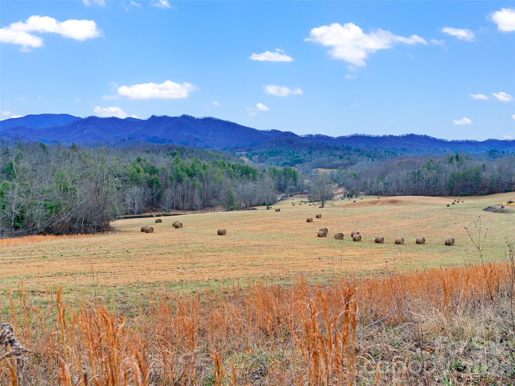 Acreage at 784 Green Young Cemetery Road, Bakersville, photo 32 of 46