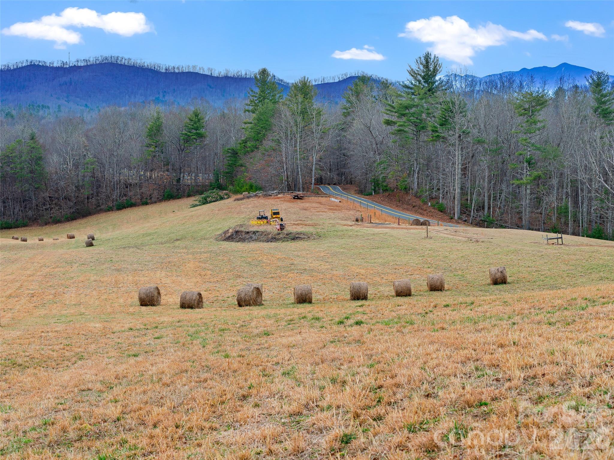 Acreage at 784 Green Young Cemetery Road, Bakersville, photo 33 of 46