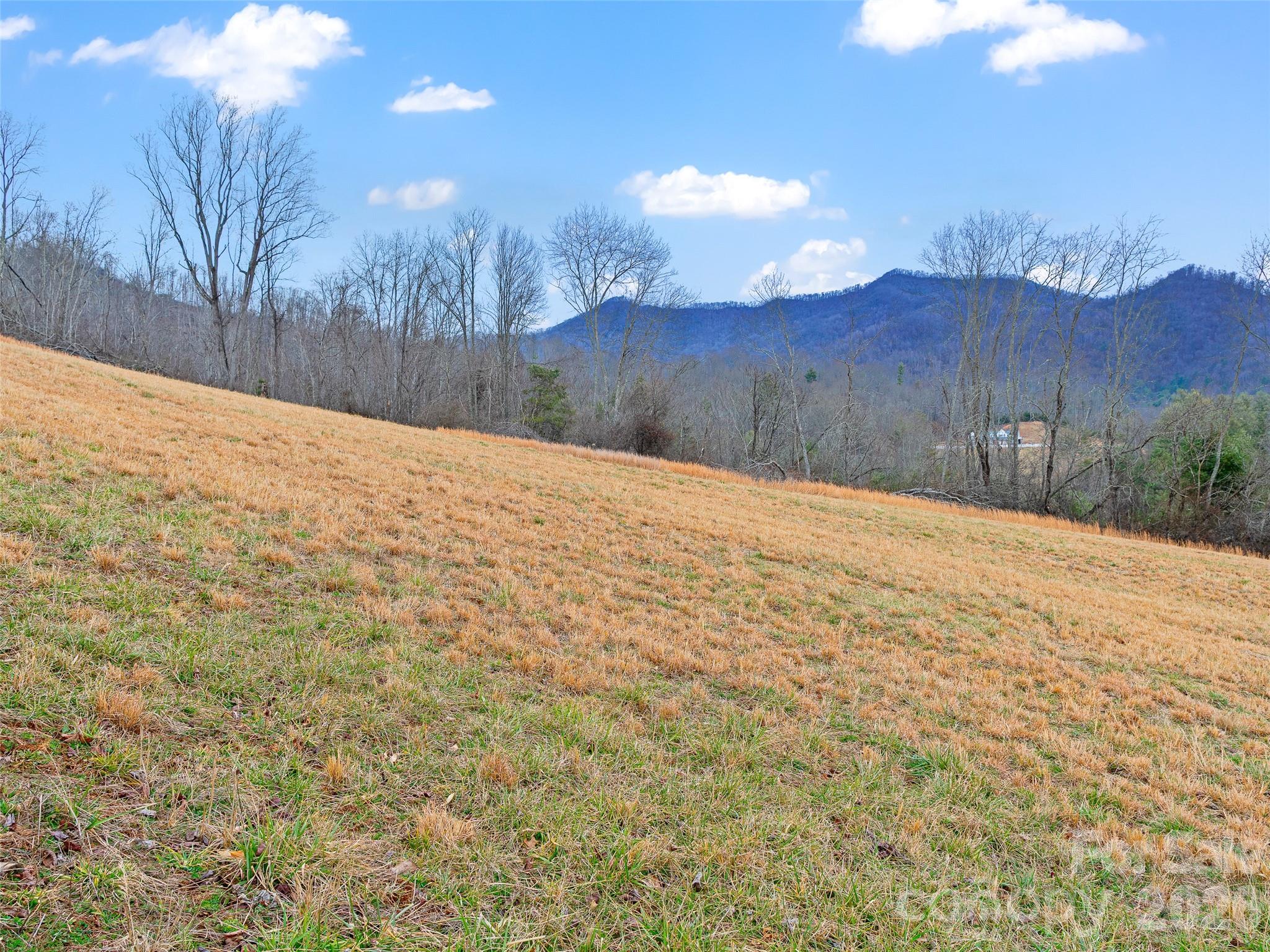 Acreage at 784 Green Young Cemetery Road, Bakersville, photo 34 of 46