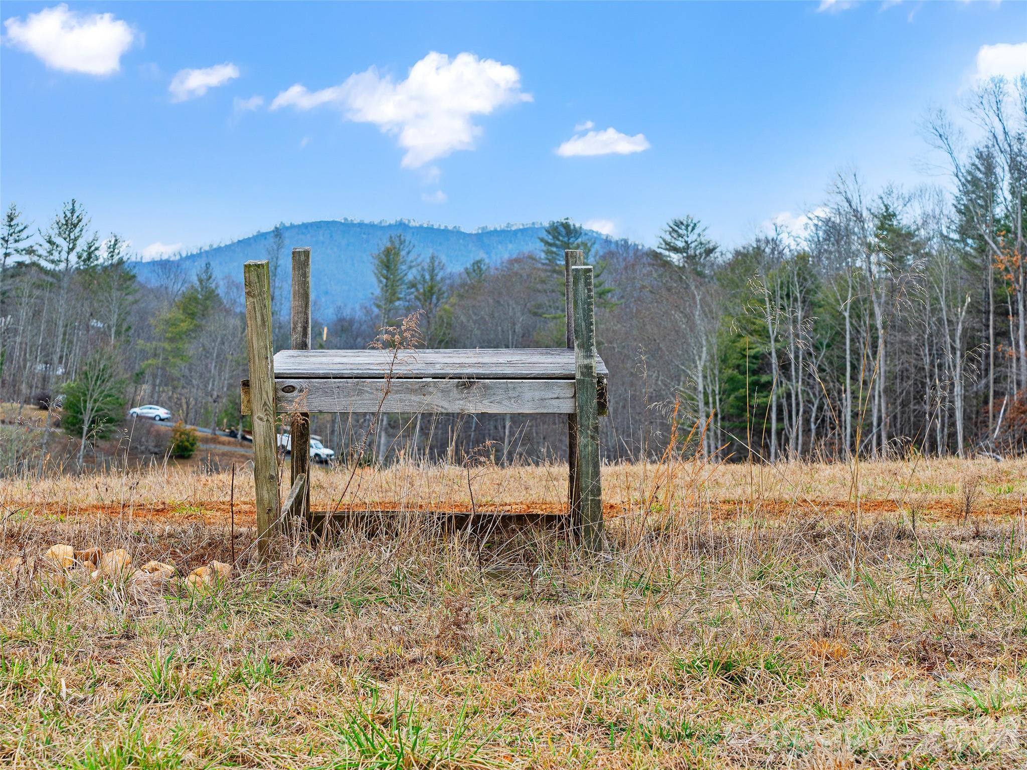 Acreage at 784 Green Young Cemetery Road, Bakersville, photo 35 of 46