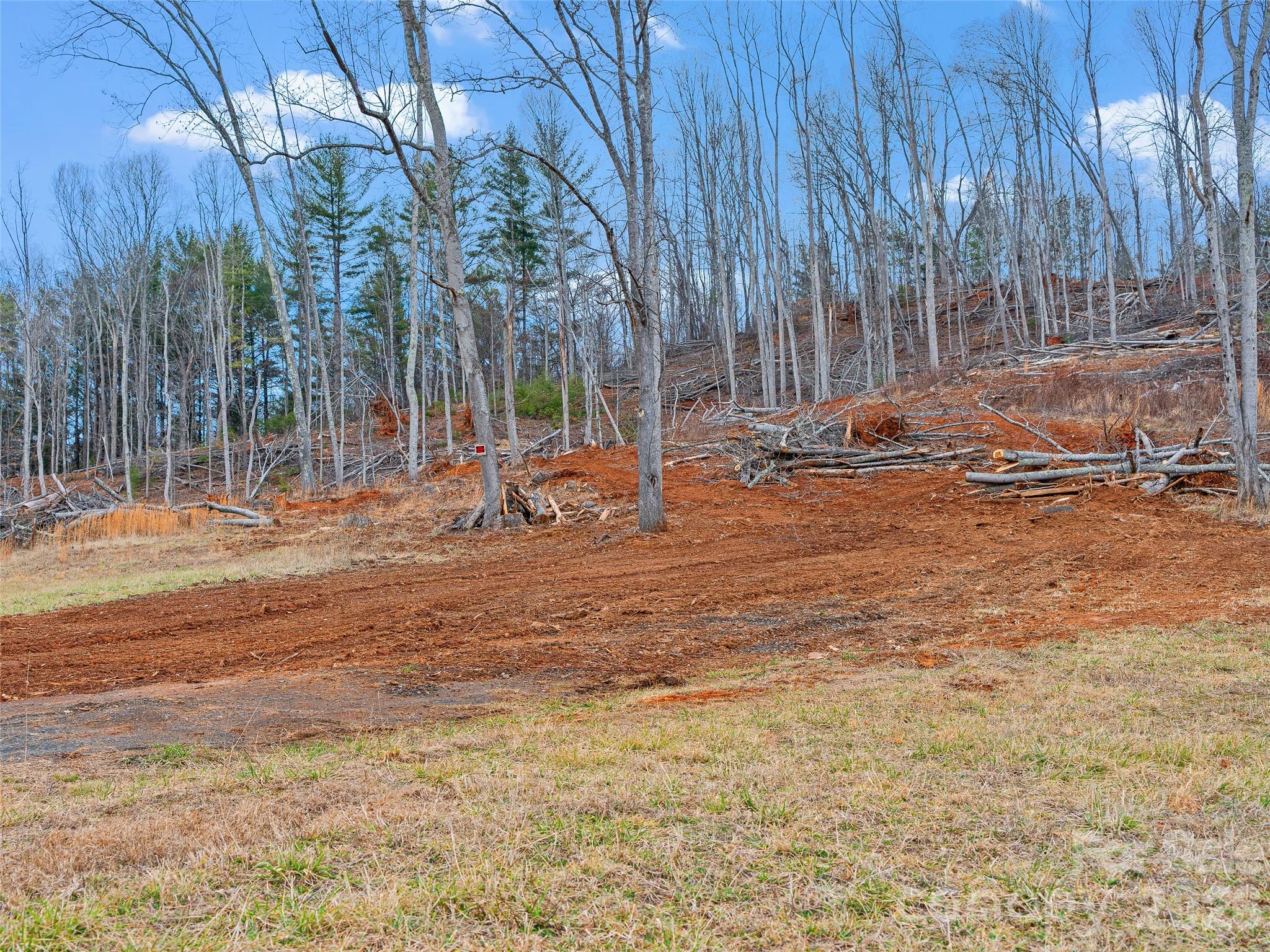 Acreage at 784 Green Young Cemetery Road, Bakersville, photo 36 of 46