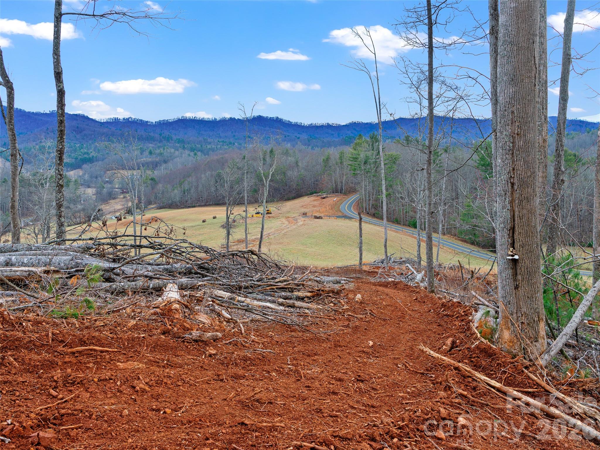 Acreage at 784 Green Young Cemetery Road, Bakersville, photo 37 of 46